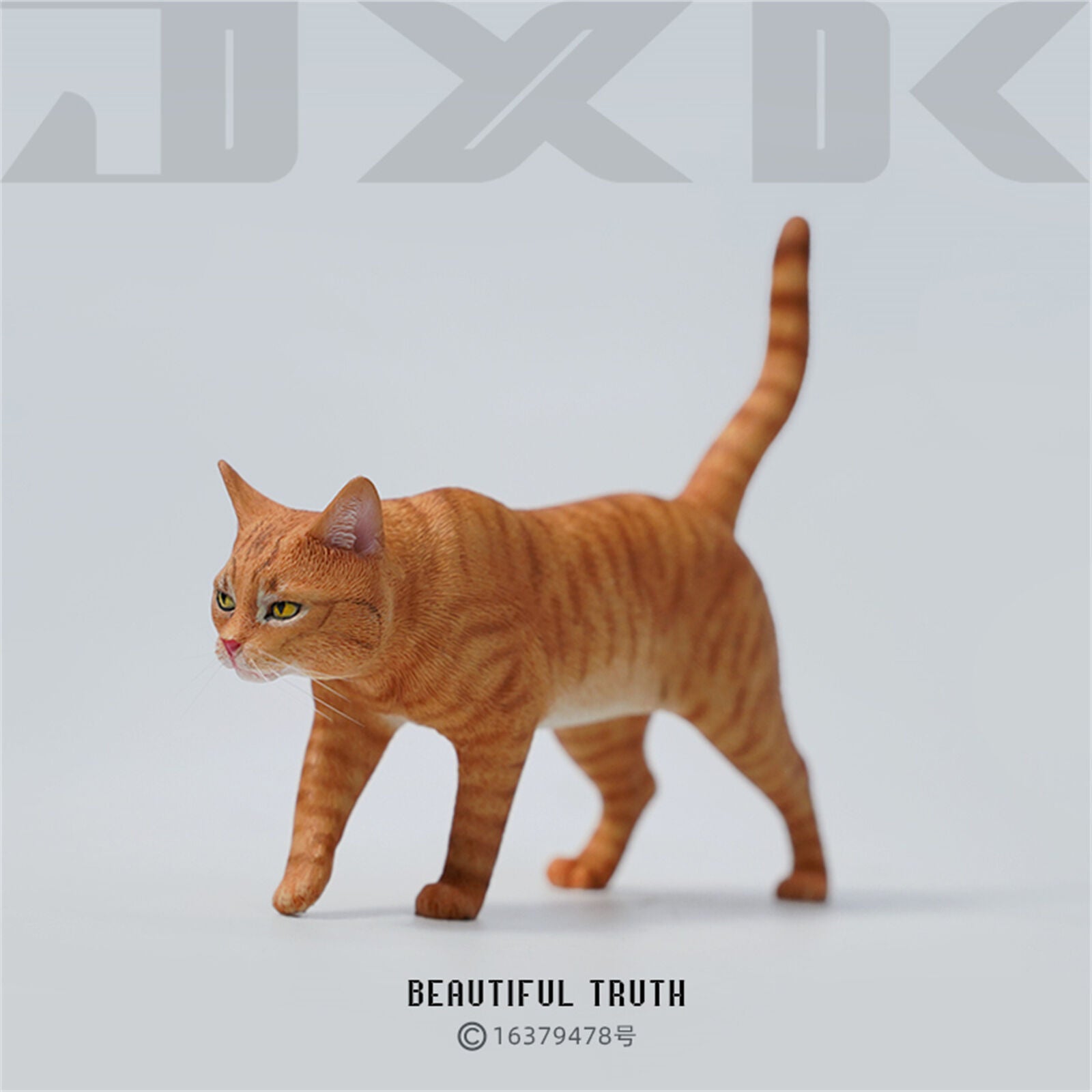 JXK 1/6 Felis catus Model