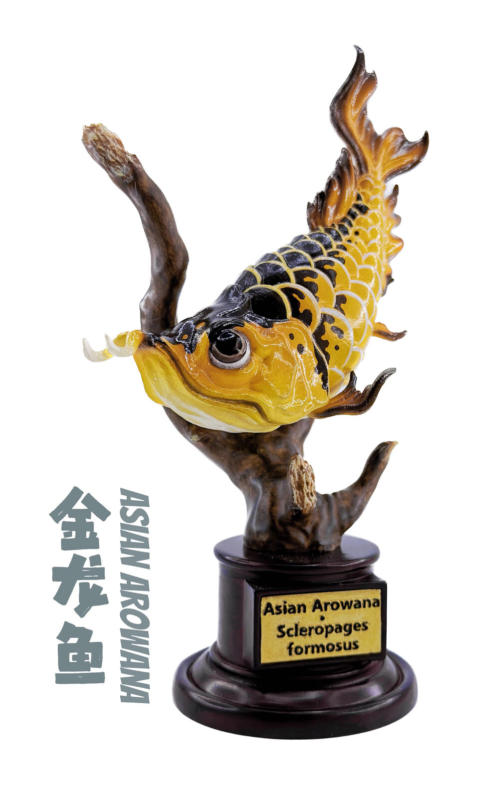 Things In The Pond Fish Blind Box Model