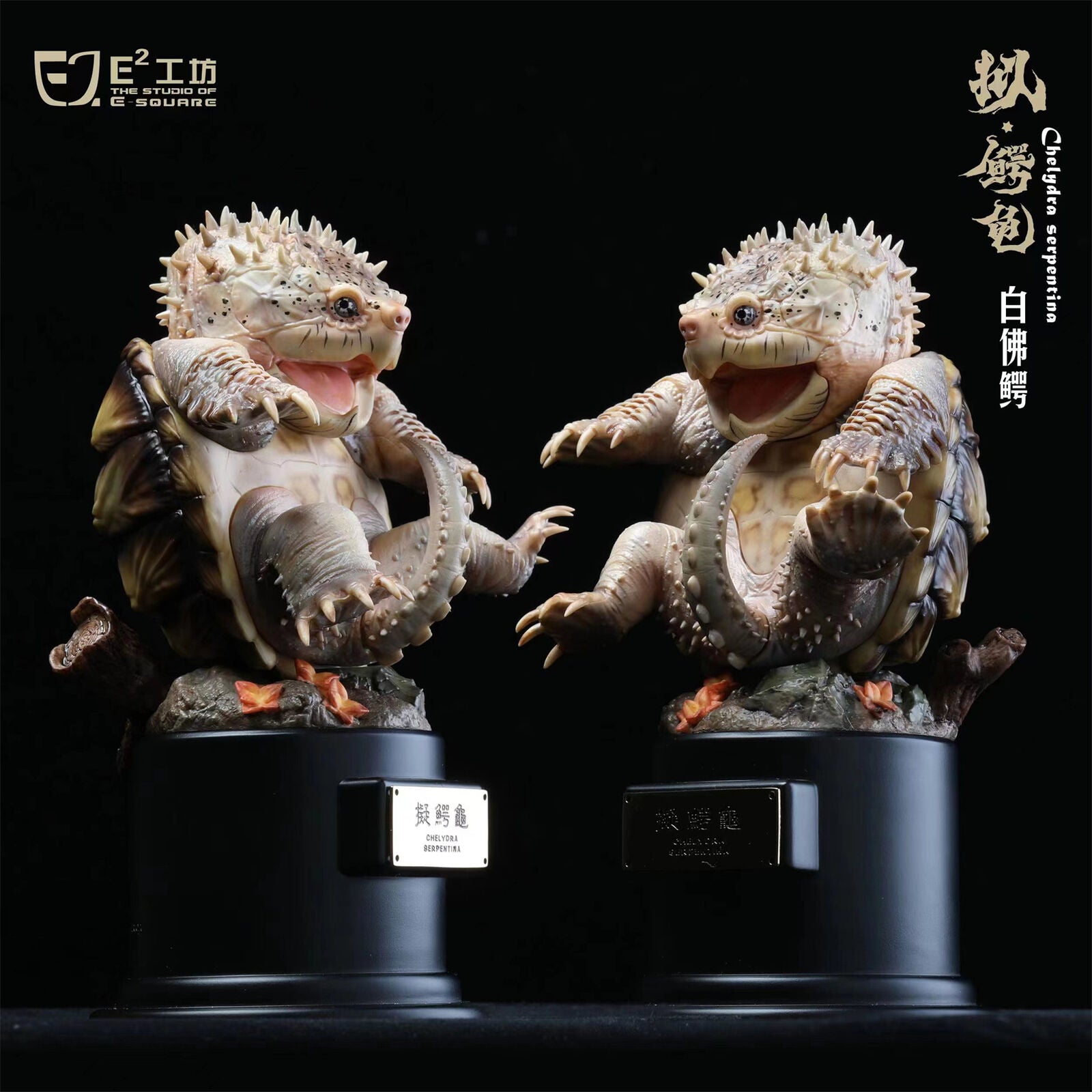 Snapping Turtle Model