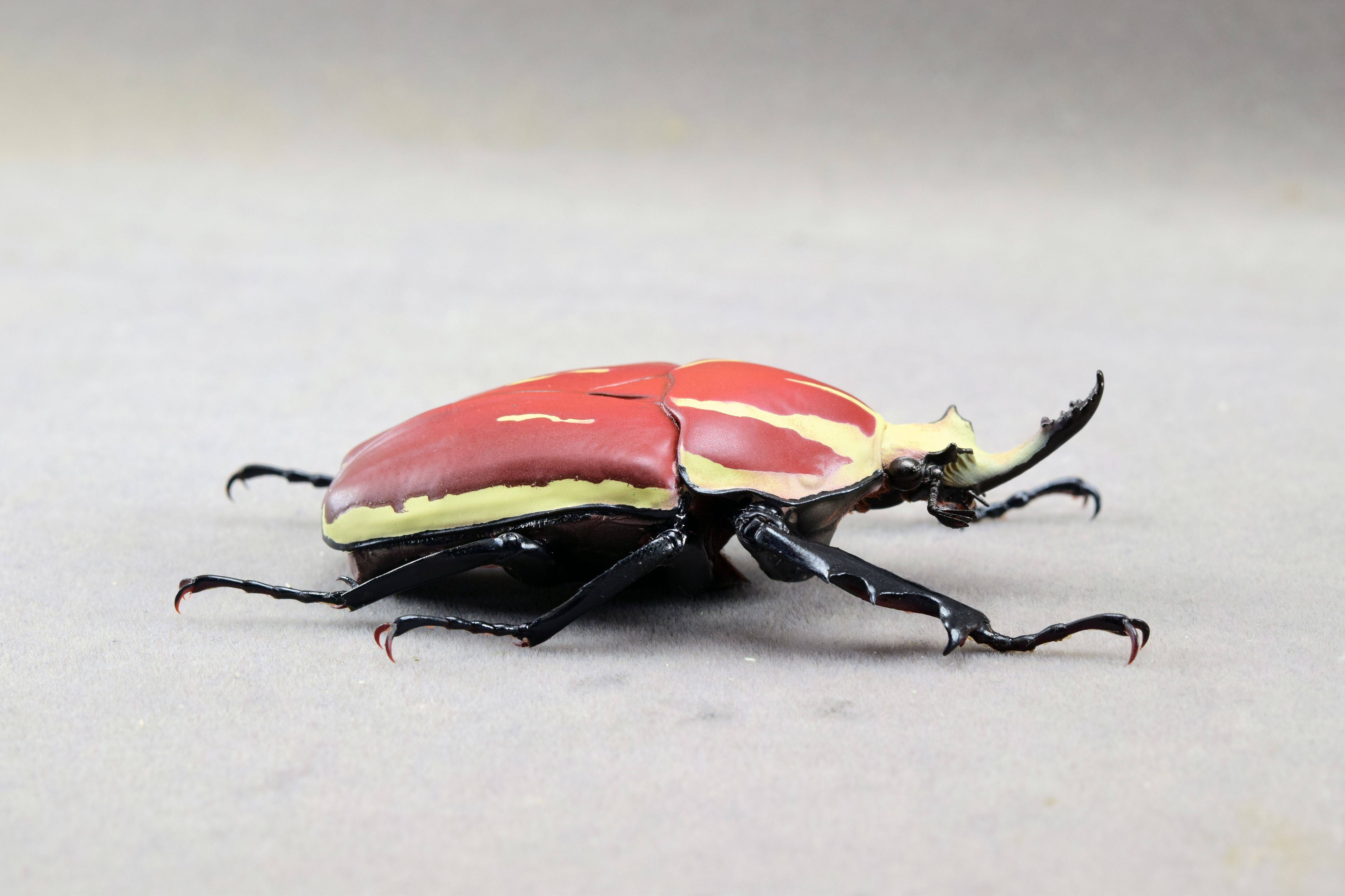 Wunderschöne Chemiepuppe im Maßstab 1:6