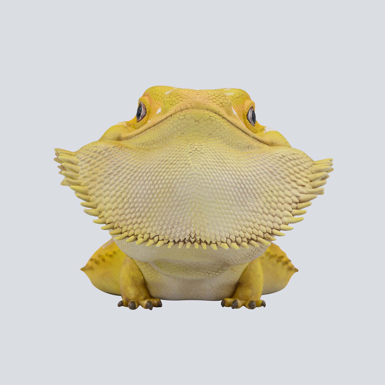 Animal Planet 16 Lizard Blind Box Model