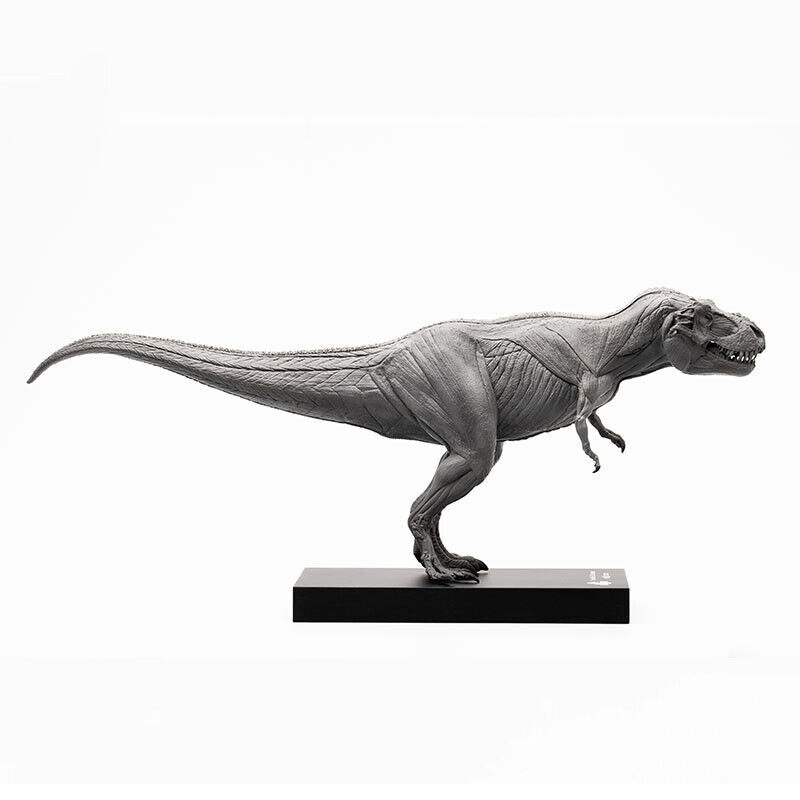 EVOLABORATORY 1/32 Muscle Anatomy T-Rex Model