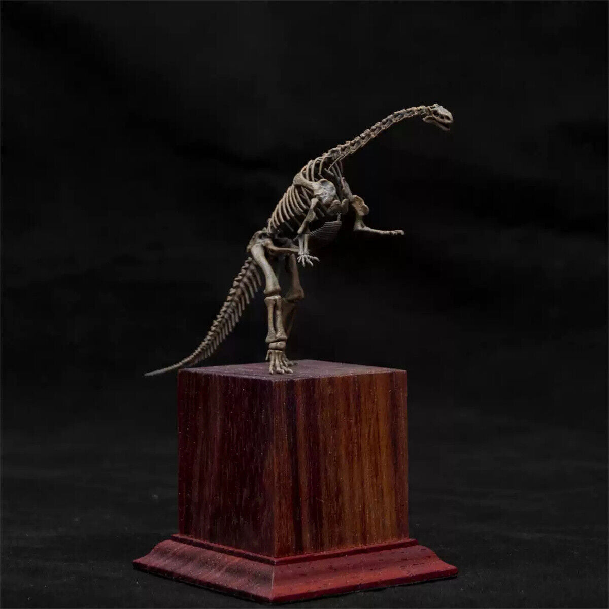 1/35 Lufengosaurus Skeleton Model
