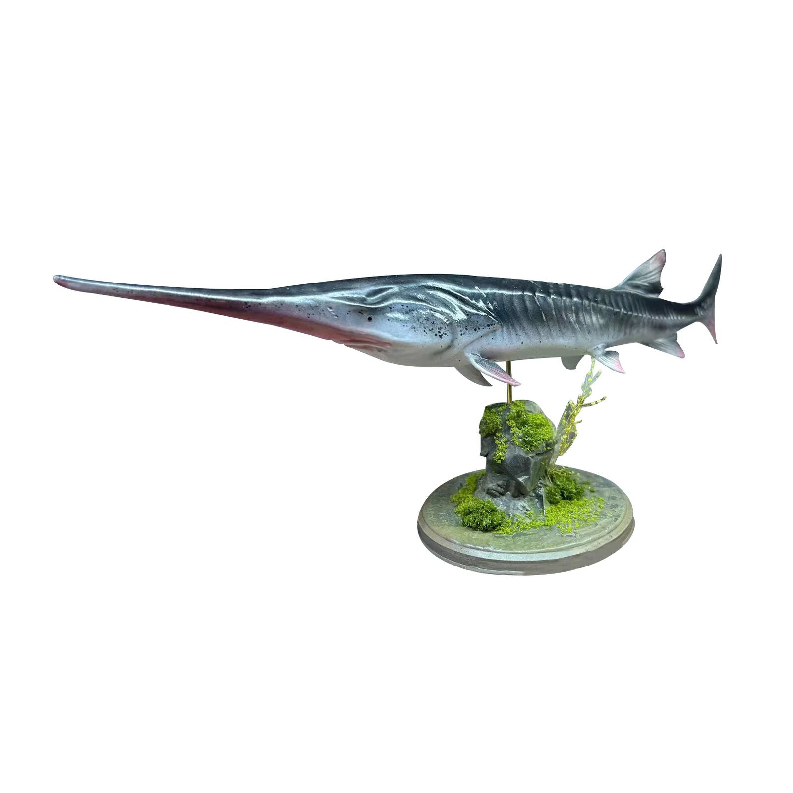 Alex Studio 1/35 Chinese Paddlefish Model