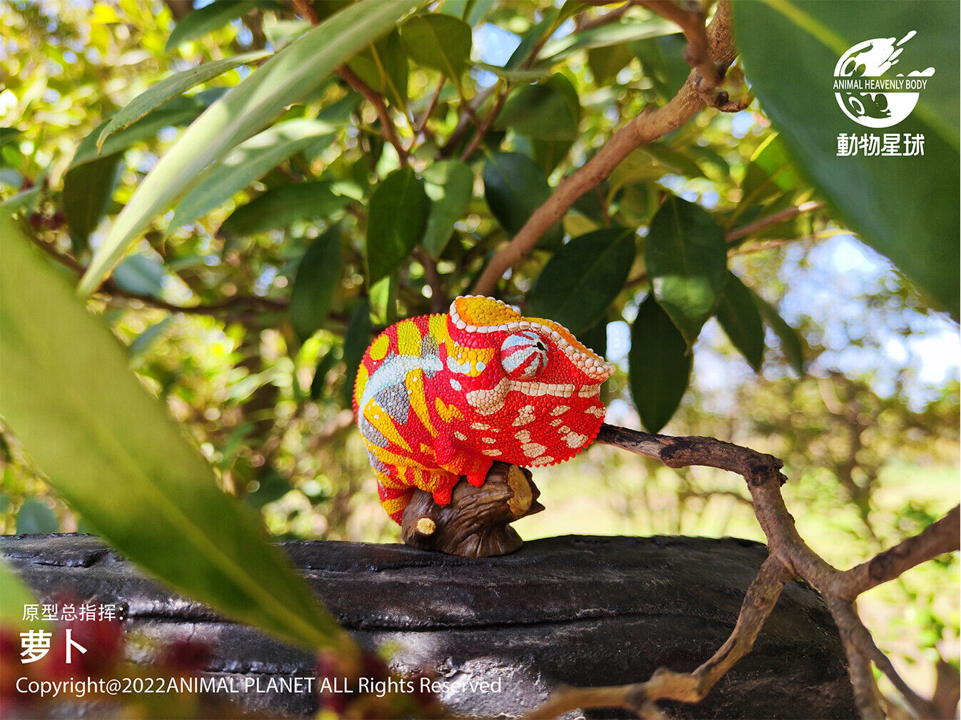 Animal Planet 15 Chamaeleonidae Blind Box Model