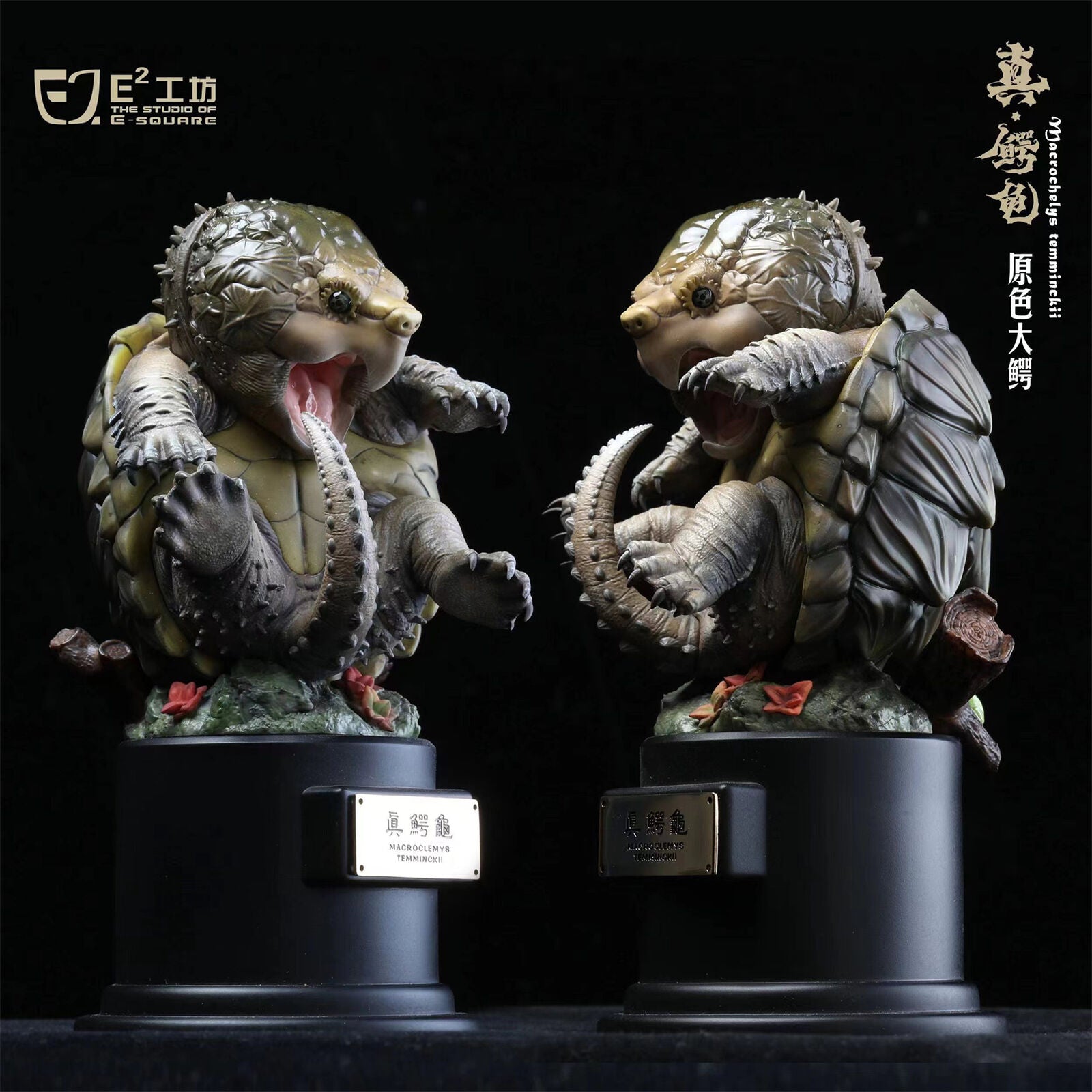 Snapping Turtle Model