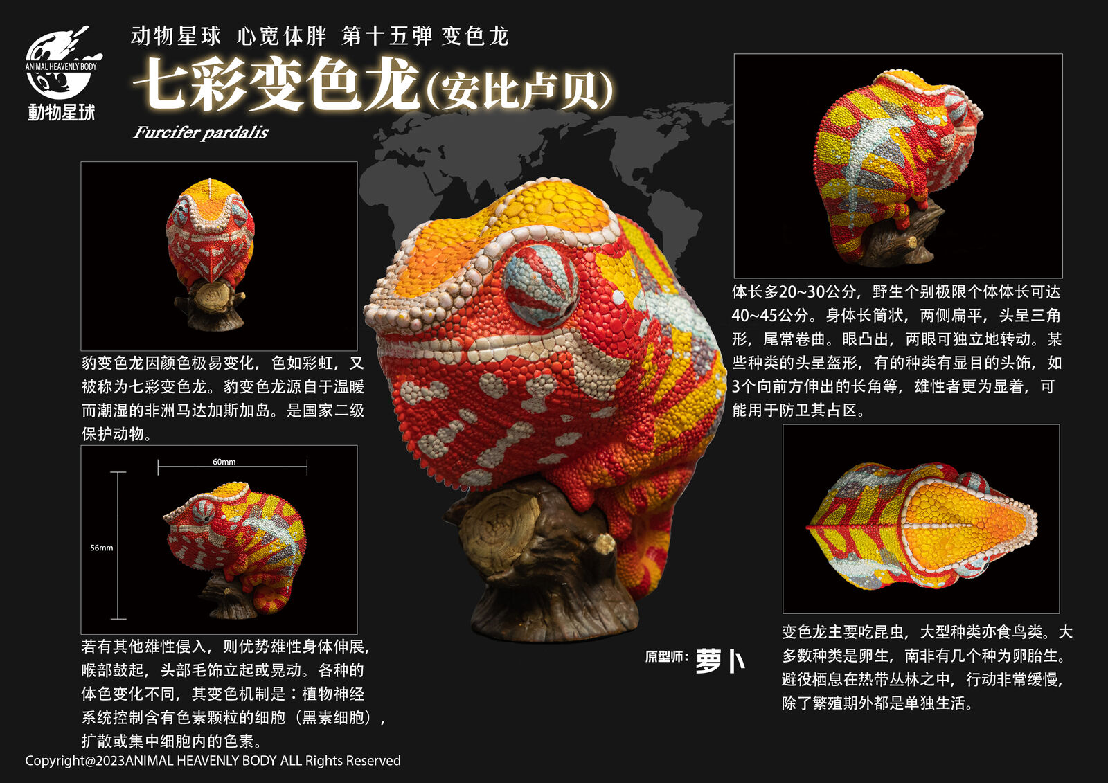 Animal Planet 15 Chamaeleonidae Blind Box Model