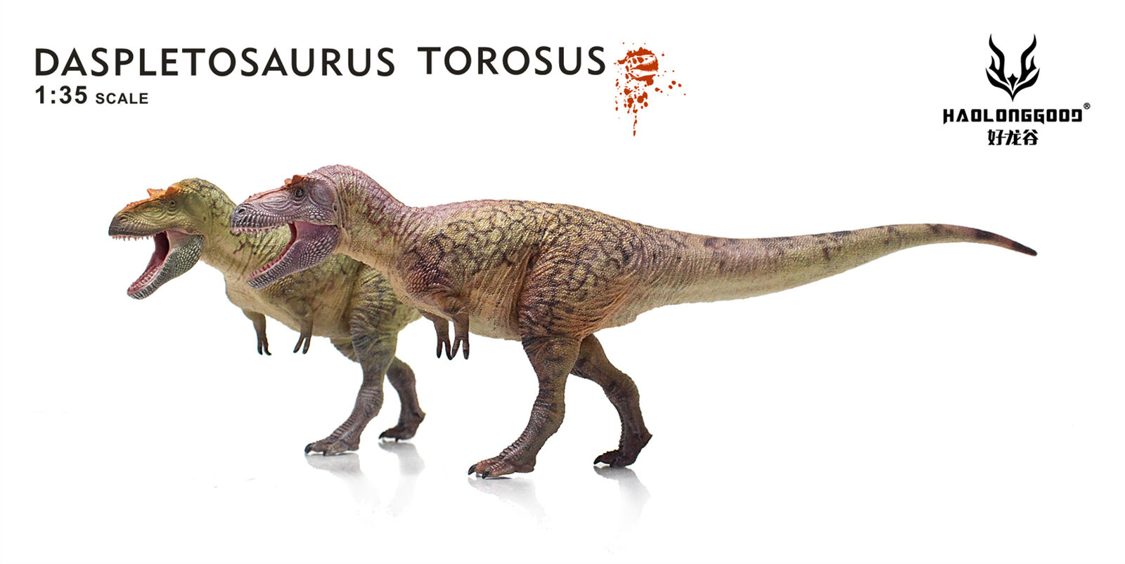 HAOLONGGOOD 1:35 Daspletosaurus Model