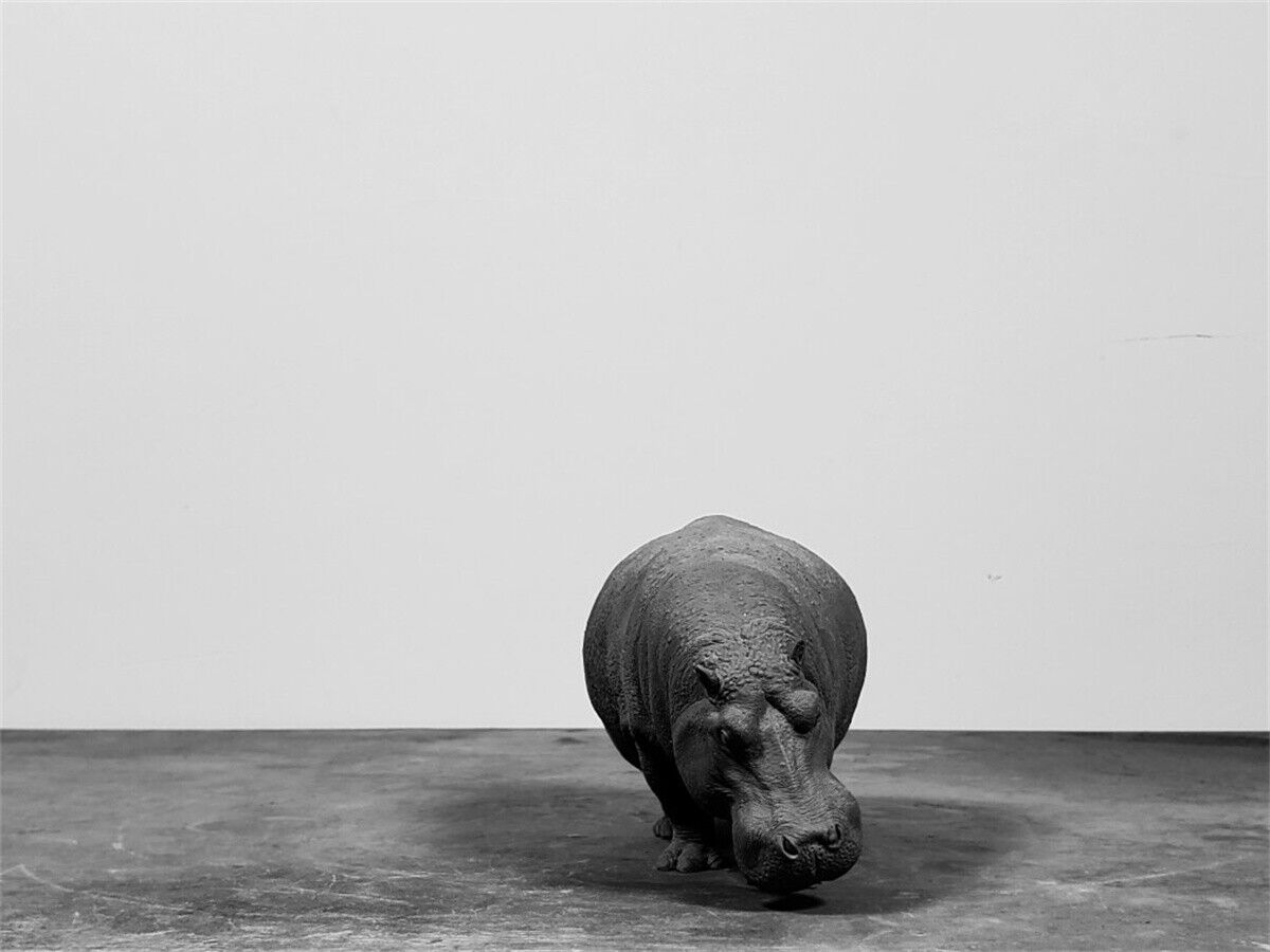 TUNAN 1/18 Hippopotamus Model