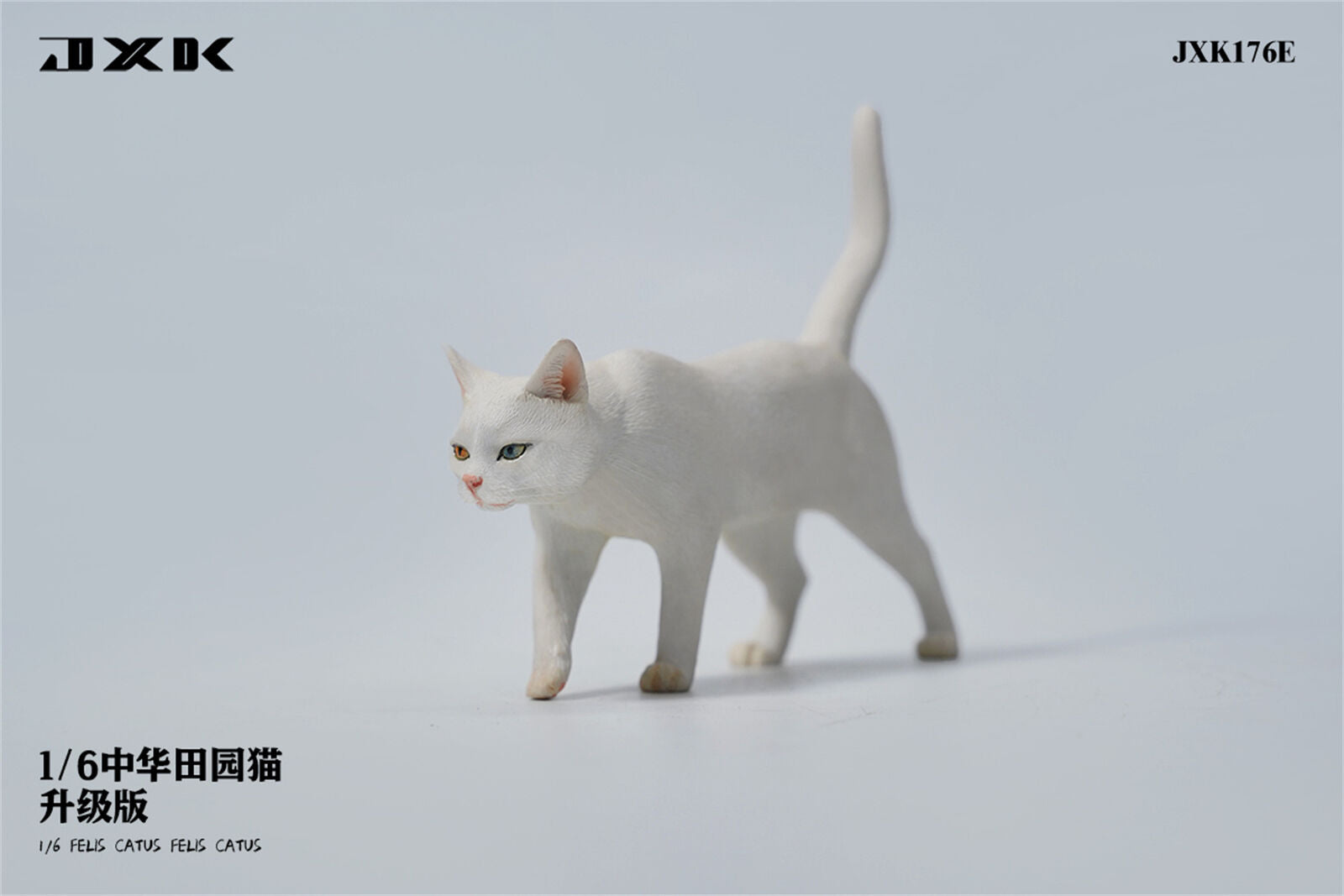 JXK 1/6 Felis catus Model