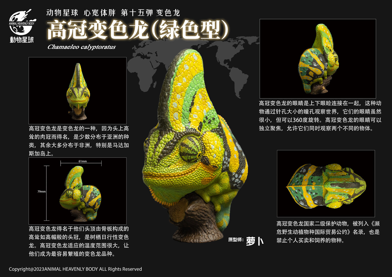 Animal Planet 15 Chamaeleonidae Blind Box Model