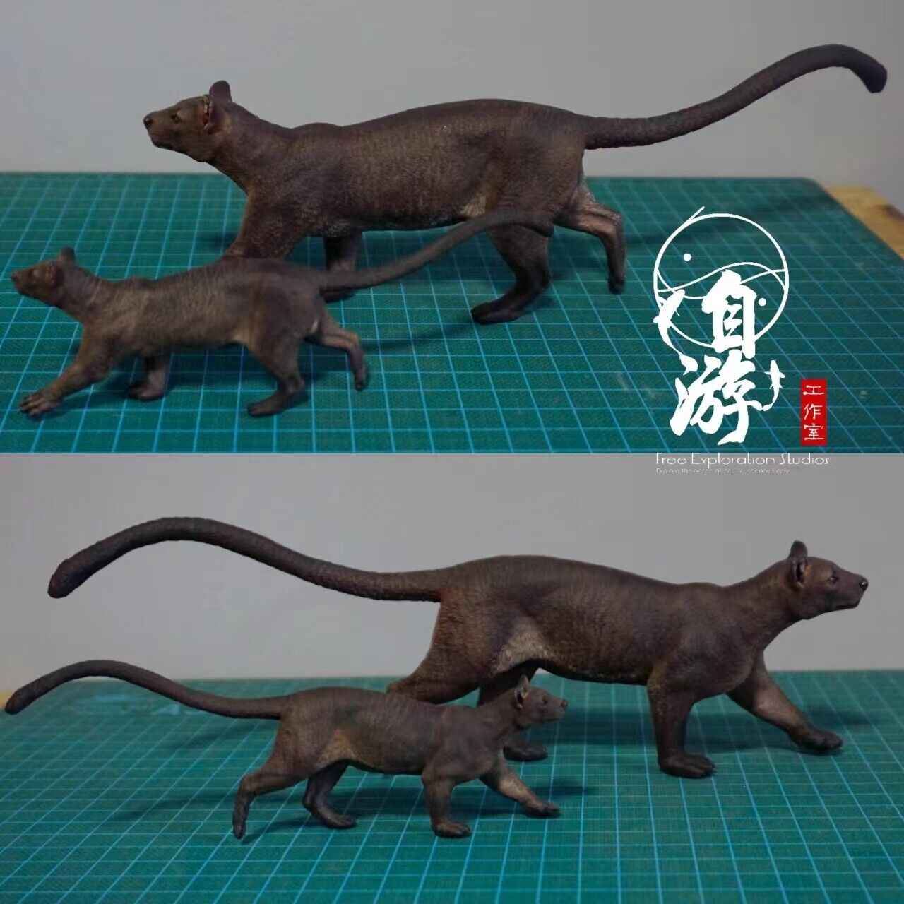 Free Exploration Fossa Model