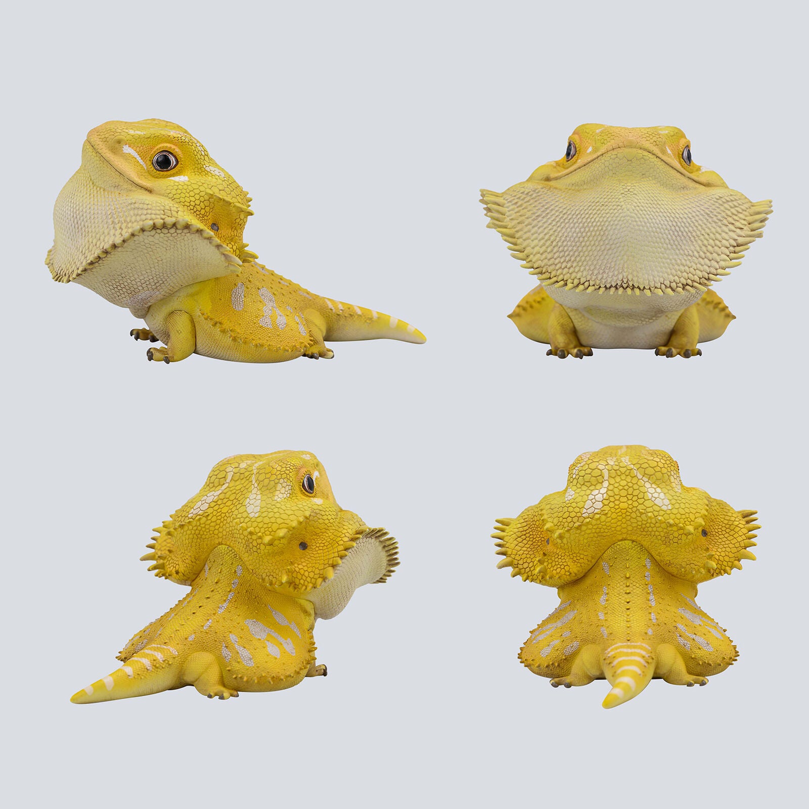 Animal Planet 16 Lizard Blind Box Model