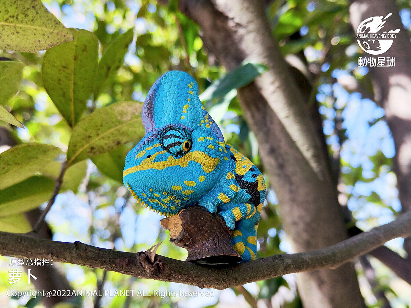 Animal Planet 15 Chamaeleonidae Blind Box Model
