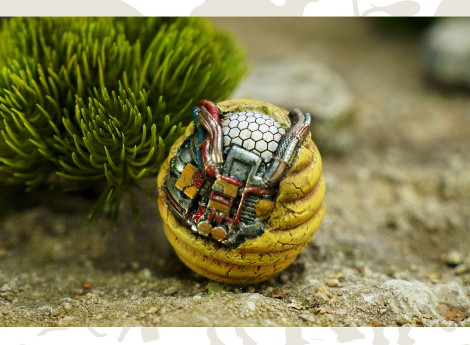 Animal Protection Act Studio Bear's Paw Model