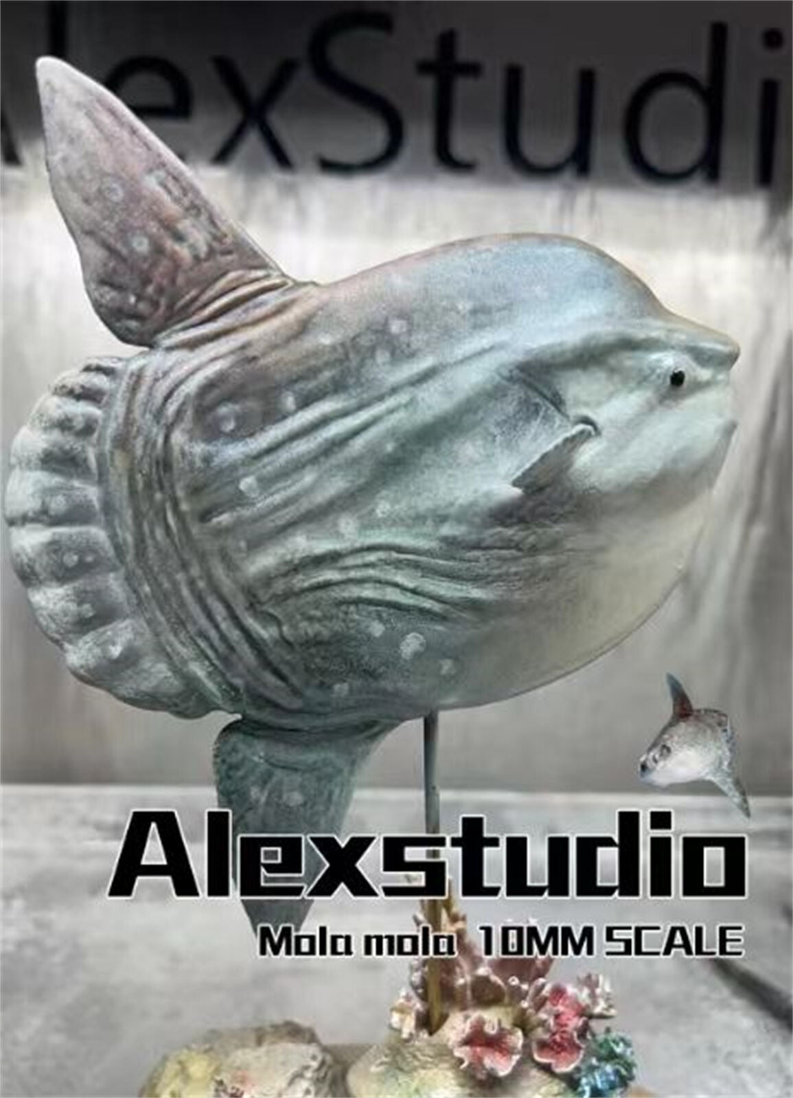 Alex Studio Giant Sunfish Painted Model