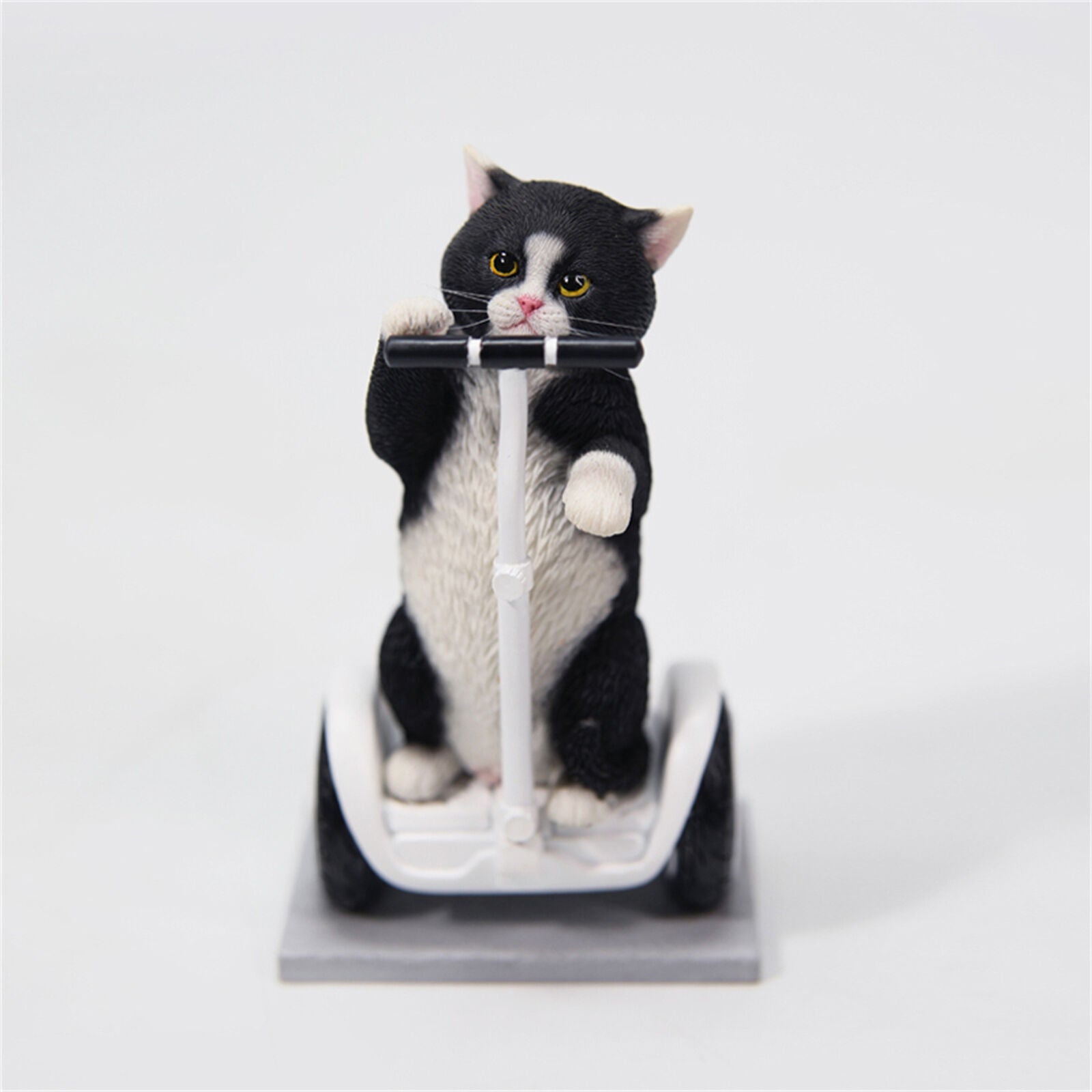 JXK 1/6 Scottish Fold Cat 3.0 Model