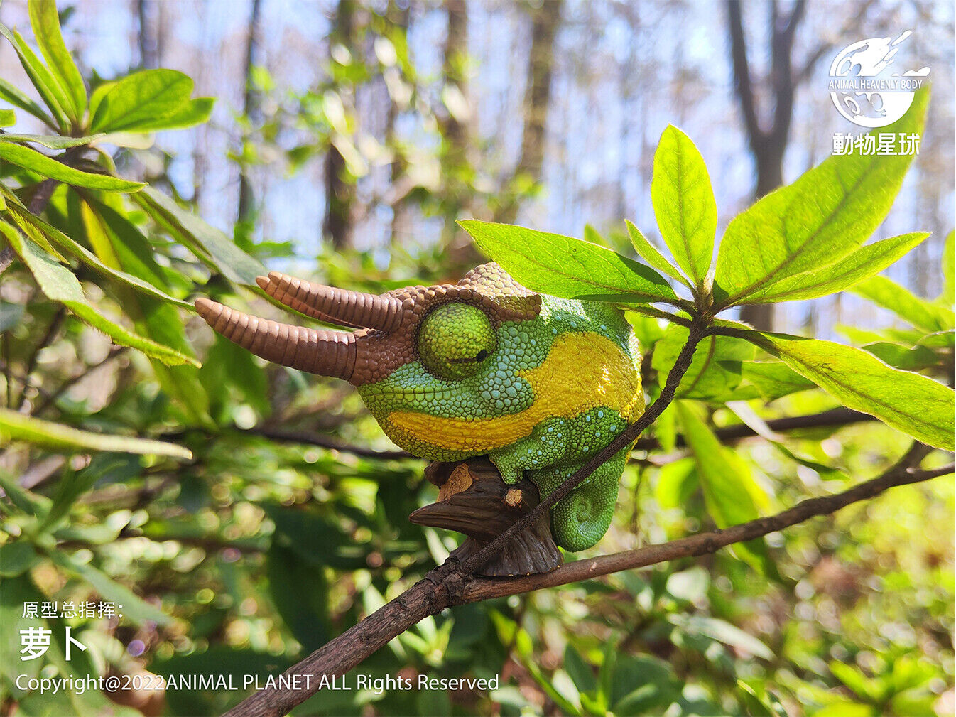 Animal Planet 15 Chamaeleonidae Blind Box Model