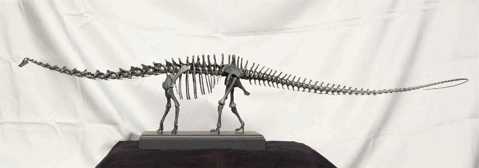 VWUVWU 1/20 Diplodocus Skeleton Model