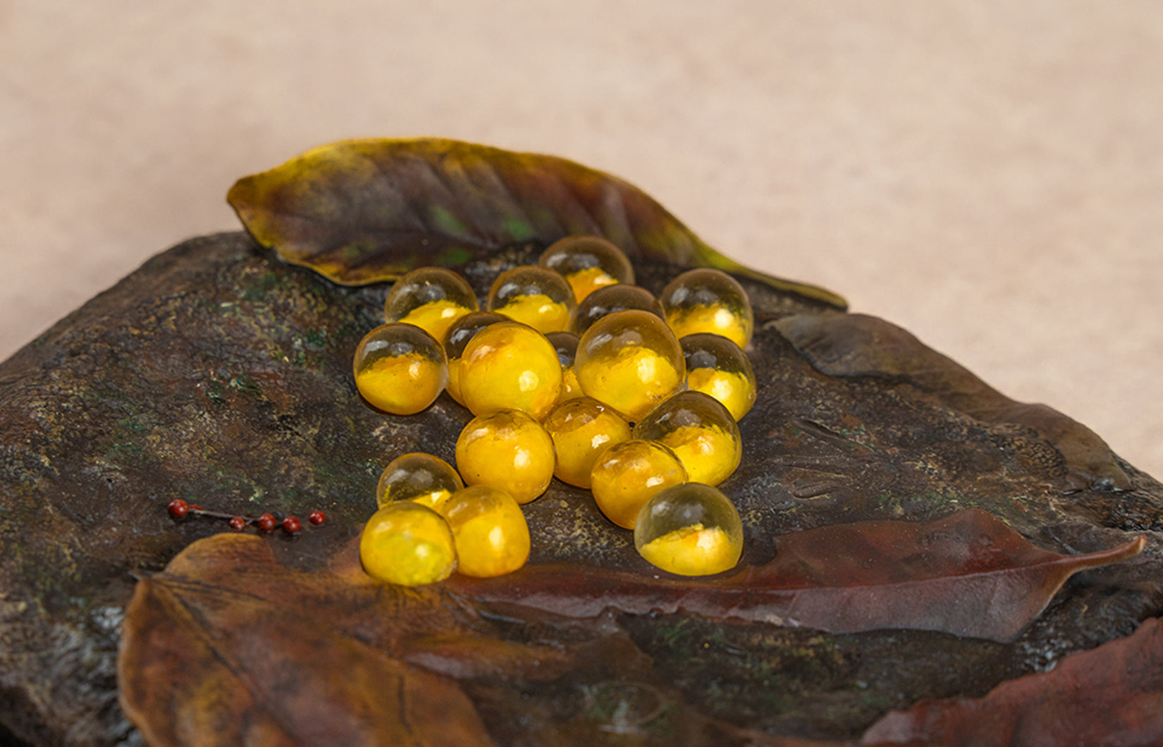 Echinotriton Chinhaiensis Model