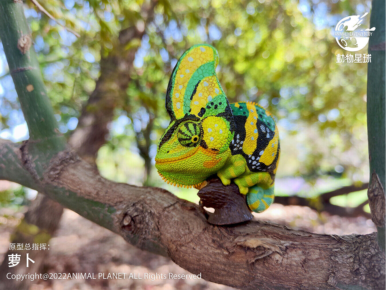 Animal Planet 15 Chamaeleonidae Blind Box Model