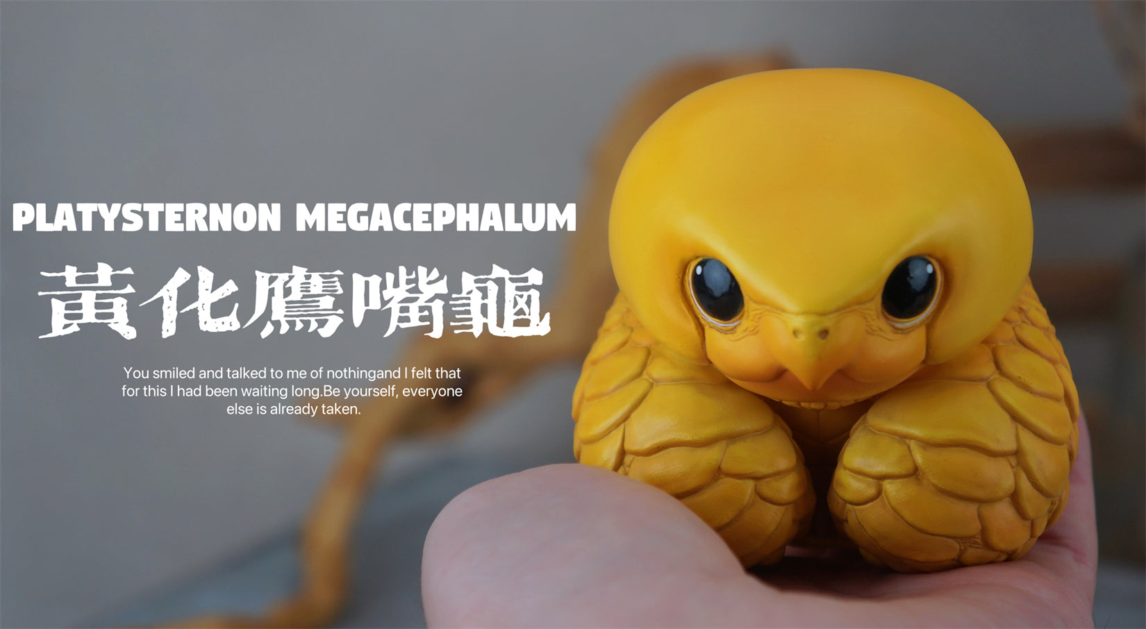 Schildkröten-Serie Tiermodell