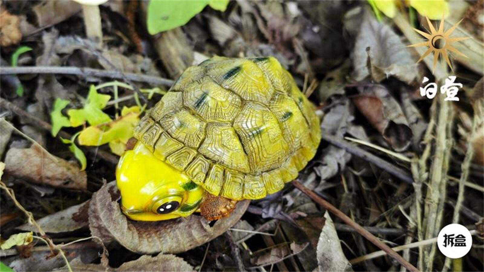 Cuora trifasciata Model