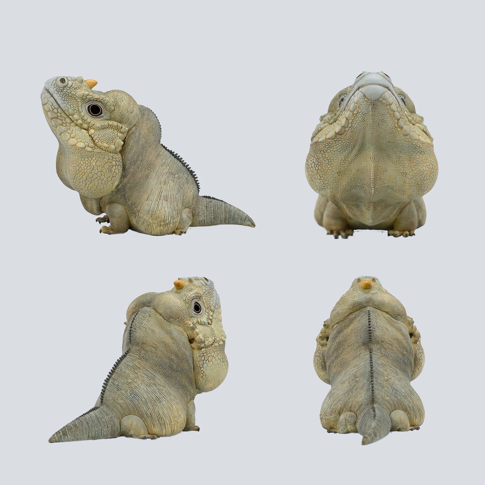 Animal Planet 16 Lizard Blind Box Model