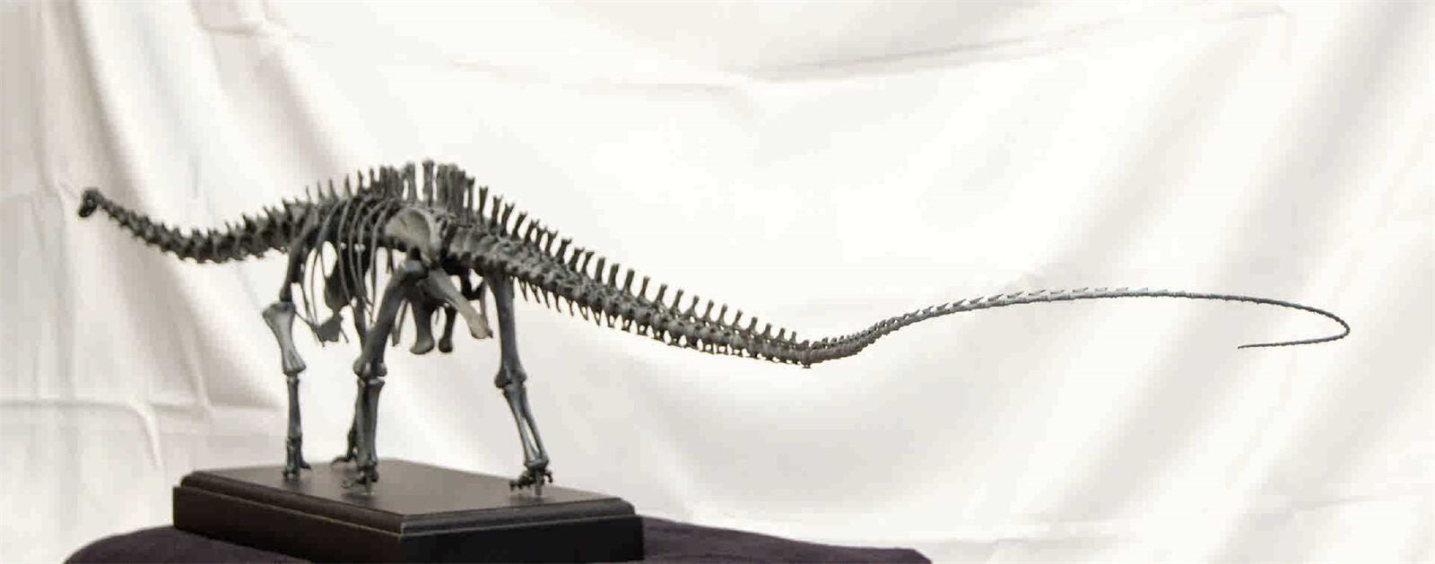 VWUVWU 1/20 Diplodocus Skeleton Model