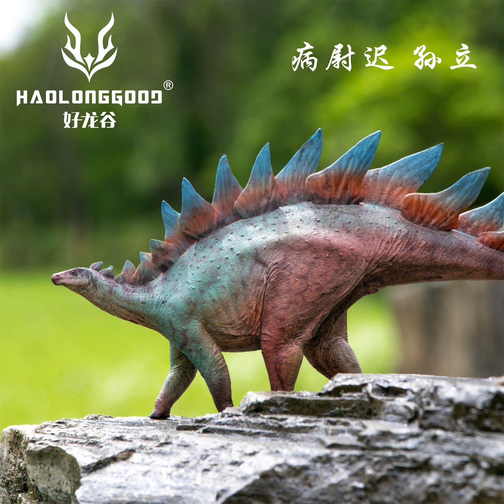 HAOLONGGOOD 1:35 Scale Stegosaurus Model