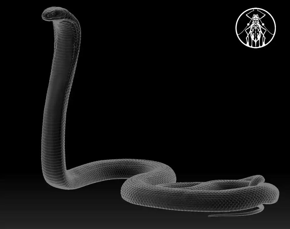 APHID STUDIO Northern King Cobra Model