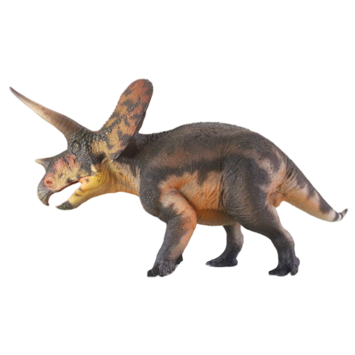 HAOLONGGOOD 1:35 Scale Torosaurus Model