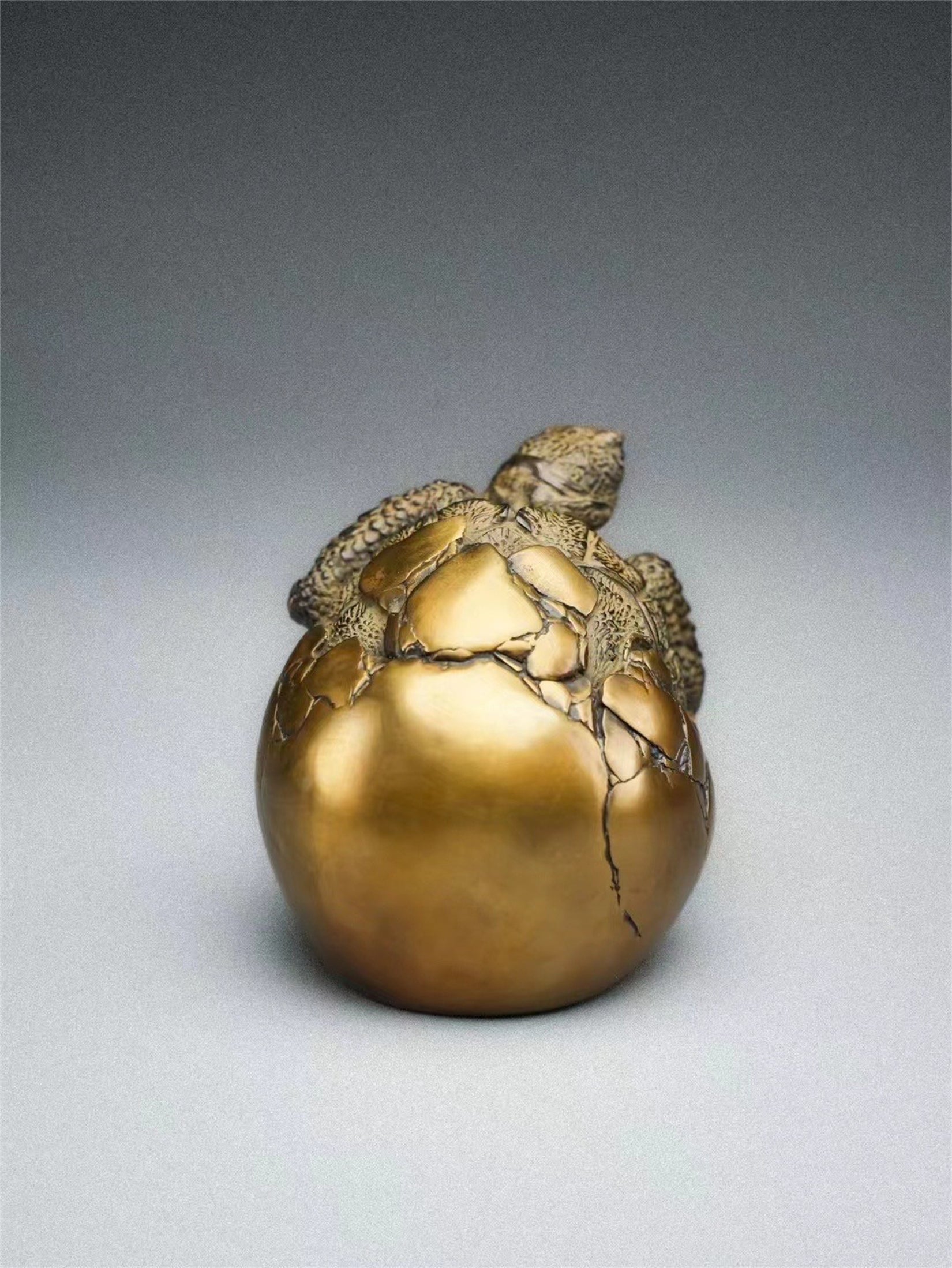 Schildkröten-Serie Tiermodell