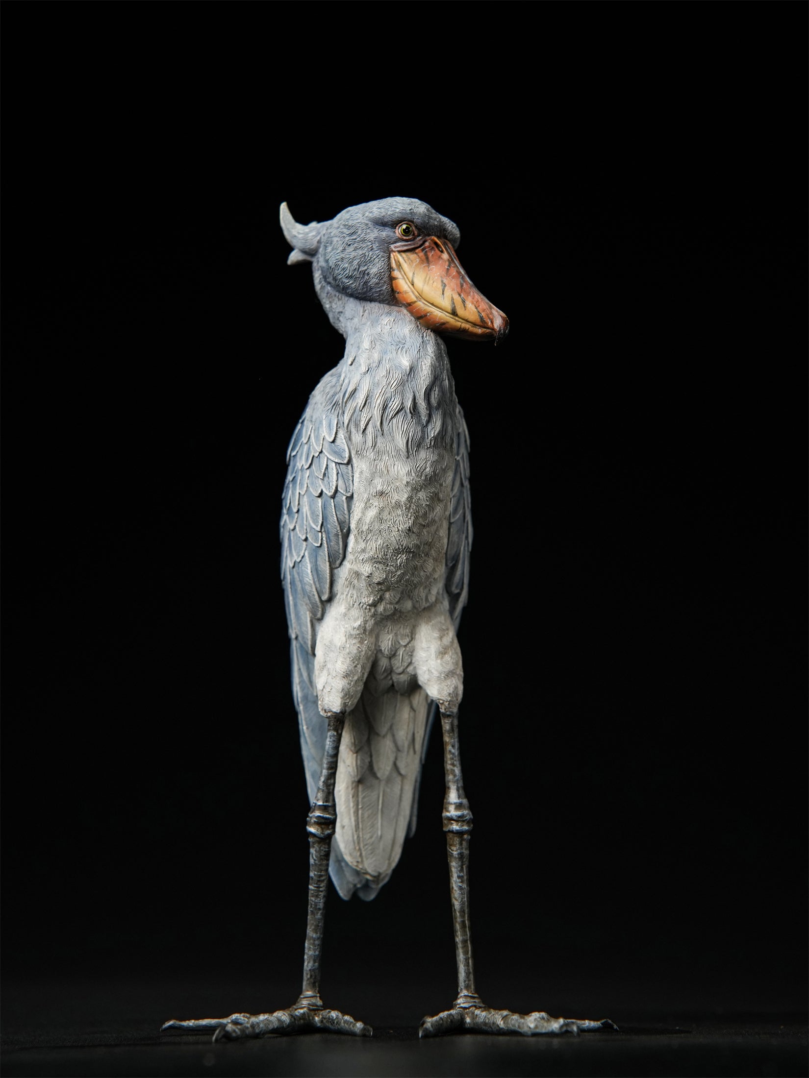 Shoebill Model
