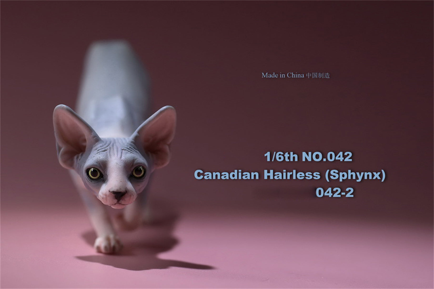 1/6 Canadian Hairless Figure