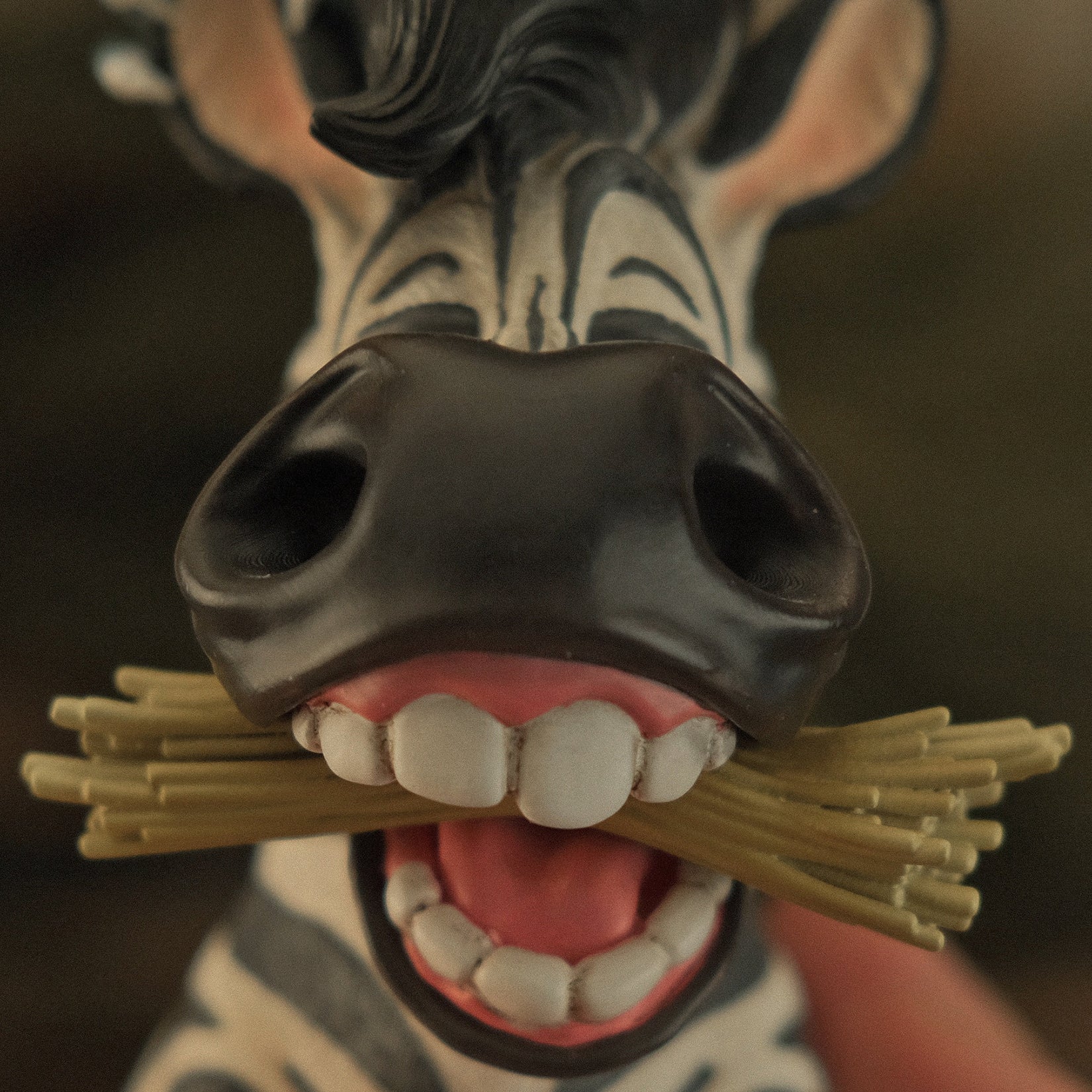 BOWUZHI Studio Hippo Zebra Model