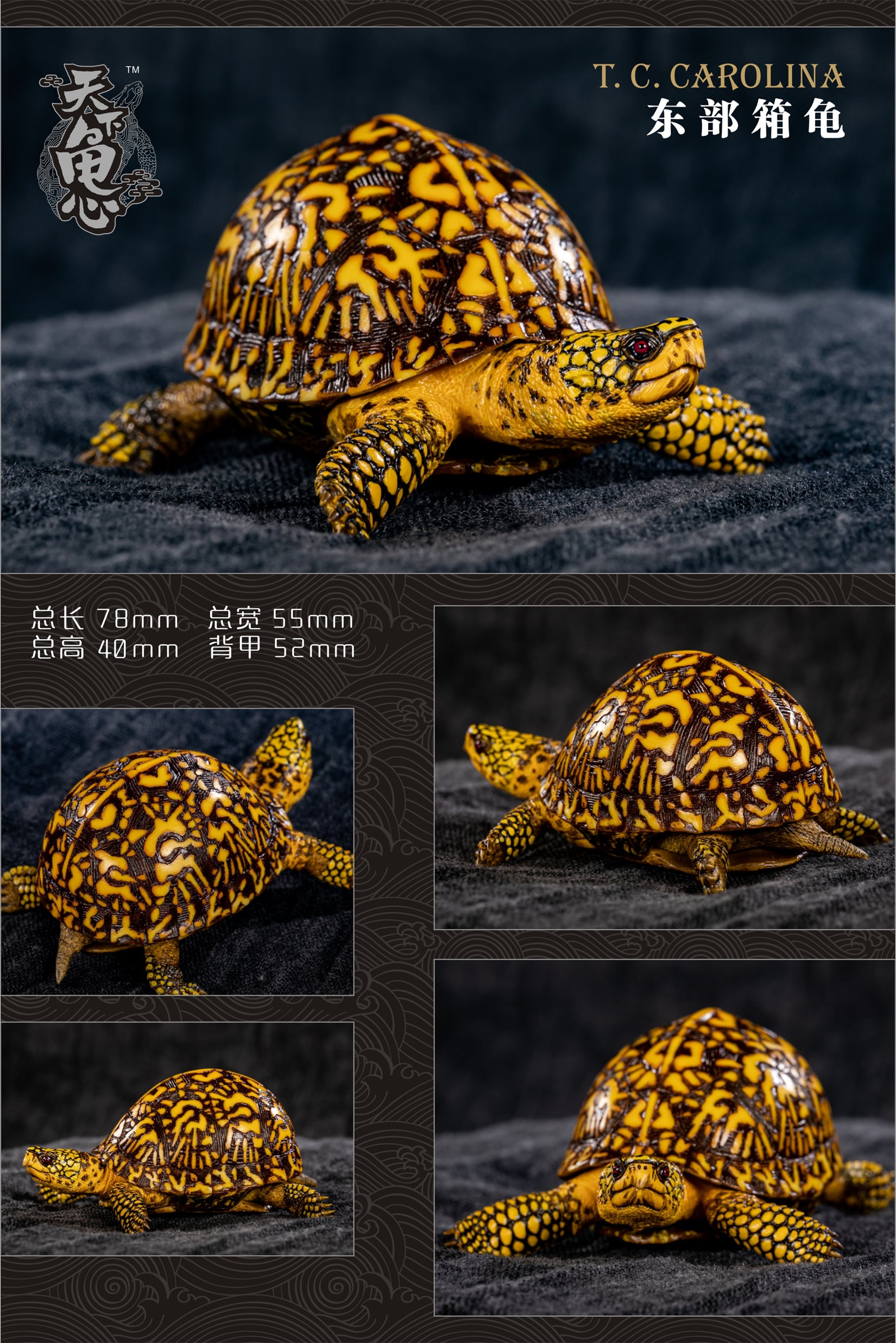 Turtle Model Series