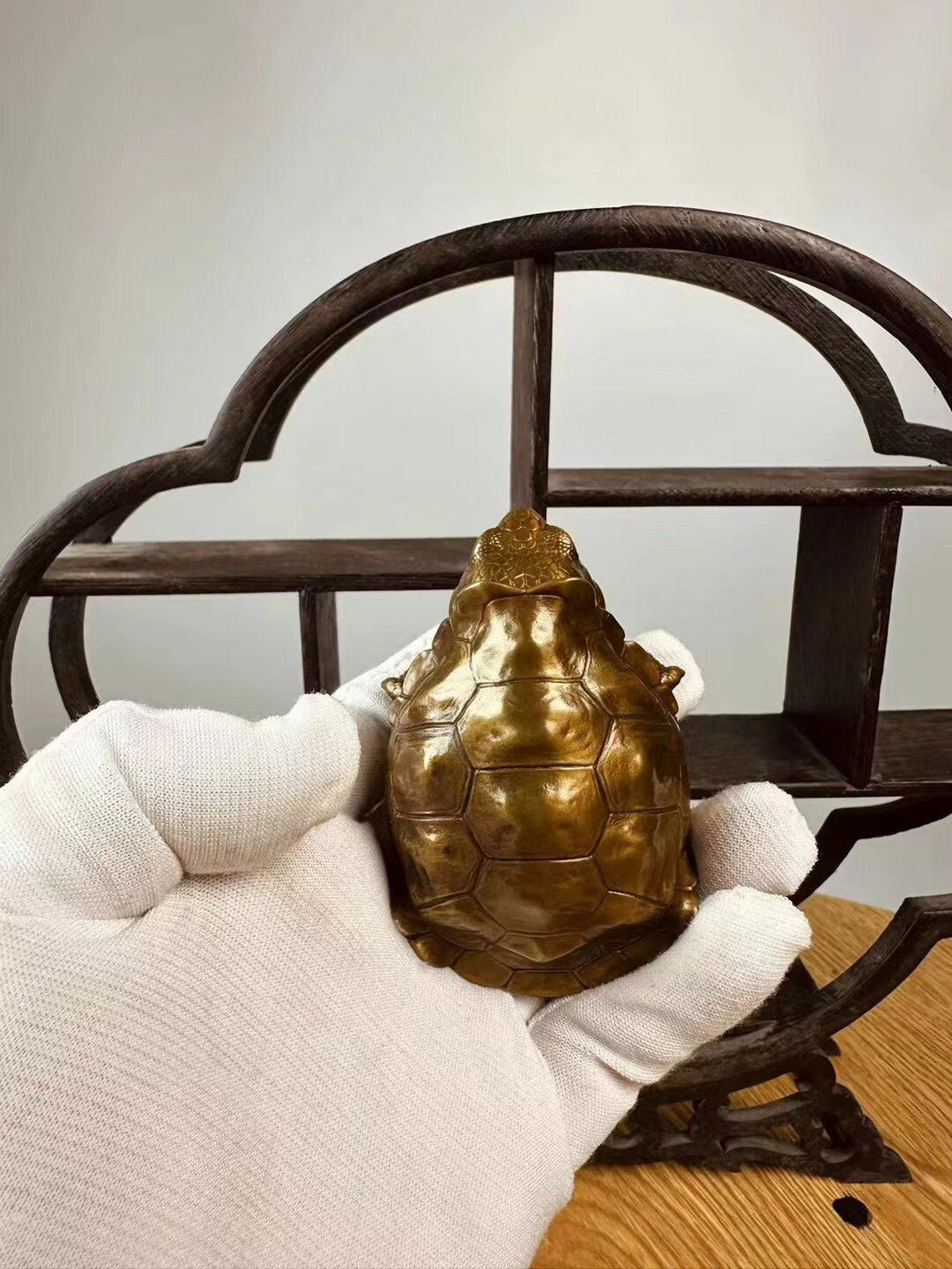 BOWUZHI Studio Galápagos Giant Tortoise Bronze Model