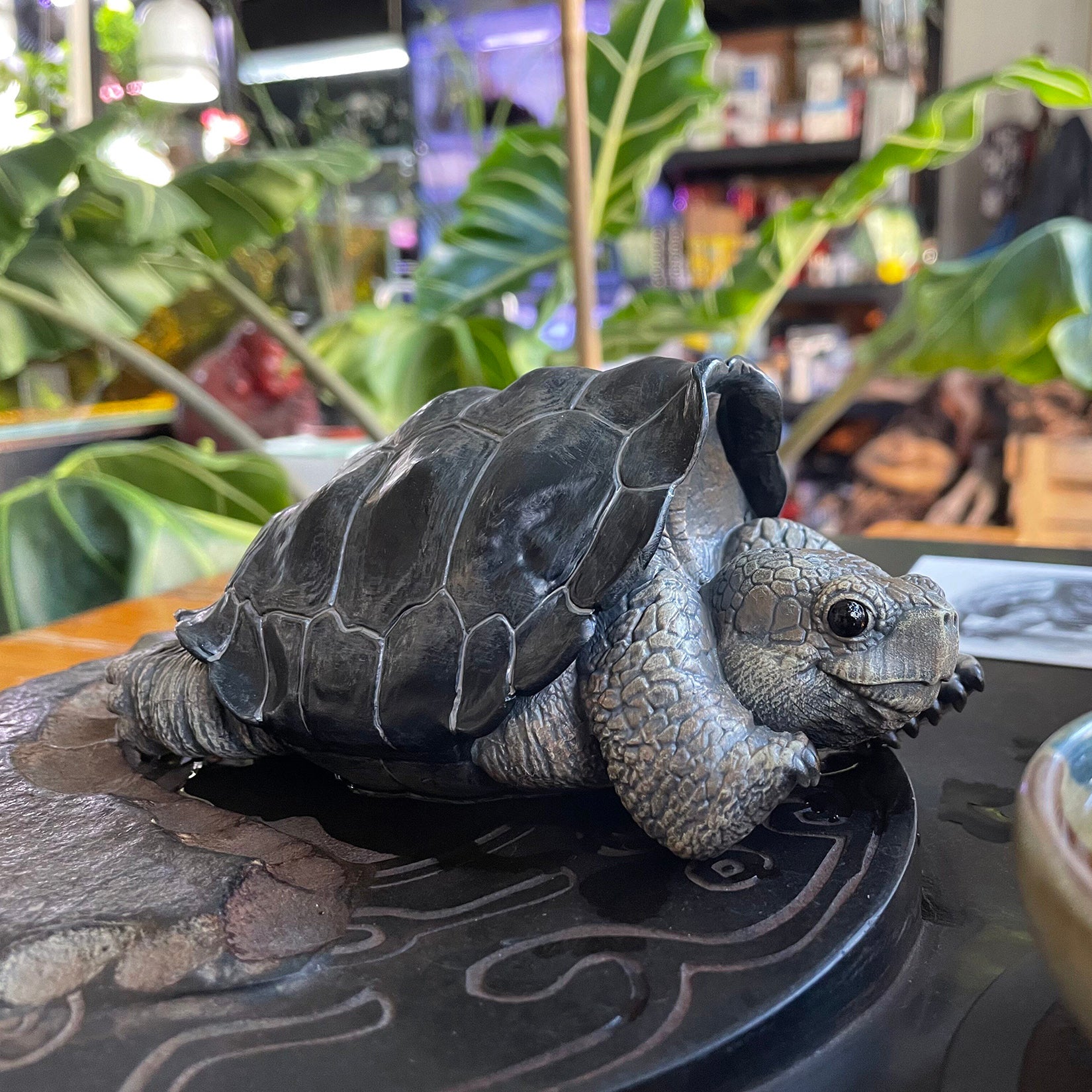 BOWUZHI Studio Galapagos Giant Tortoise Model
