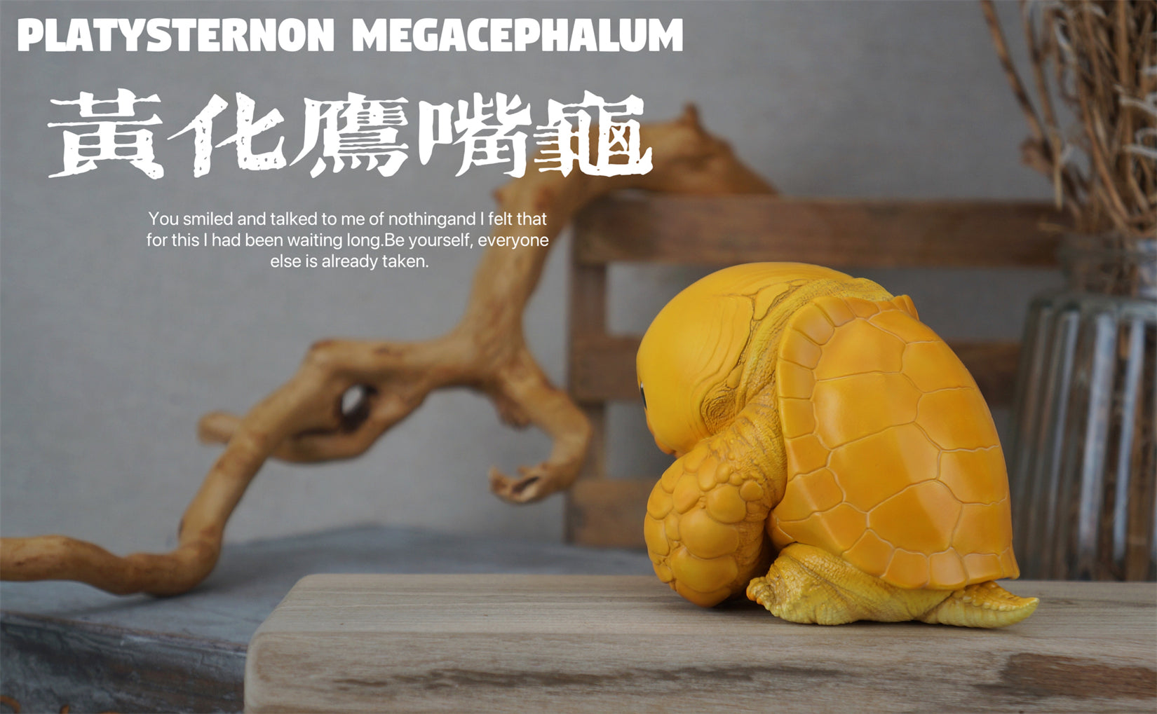 Schildkröten-Serie Tiermodell