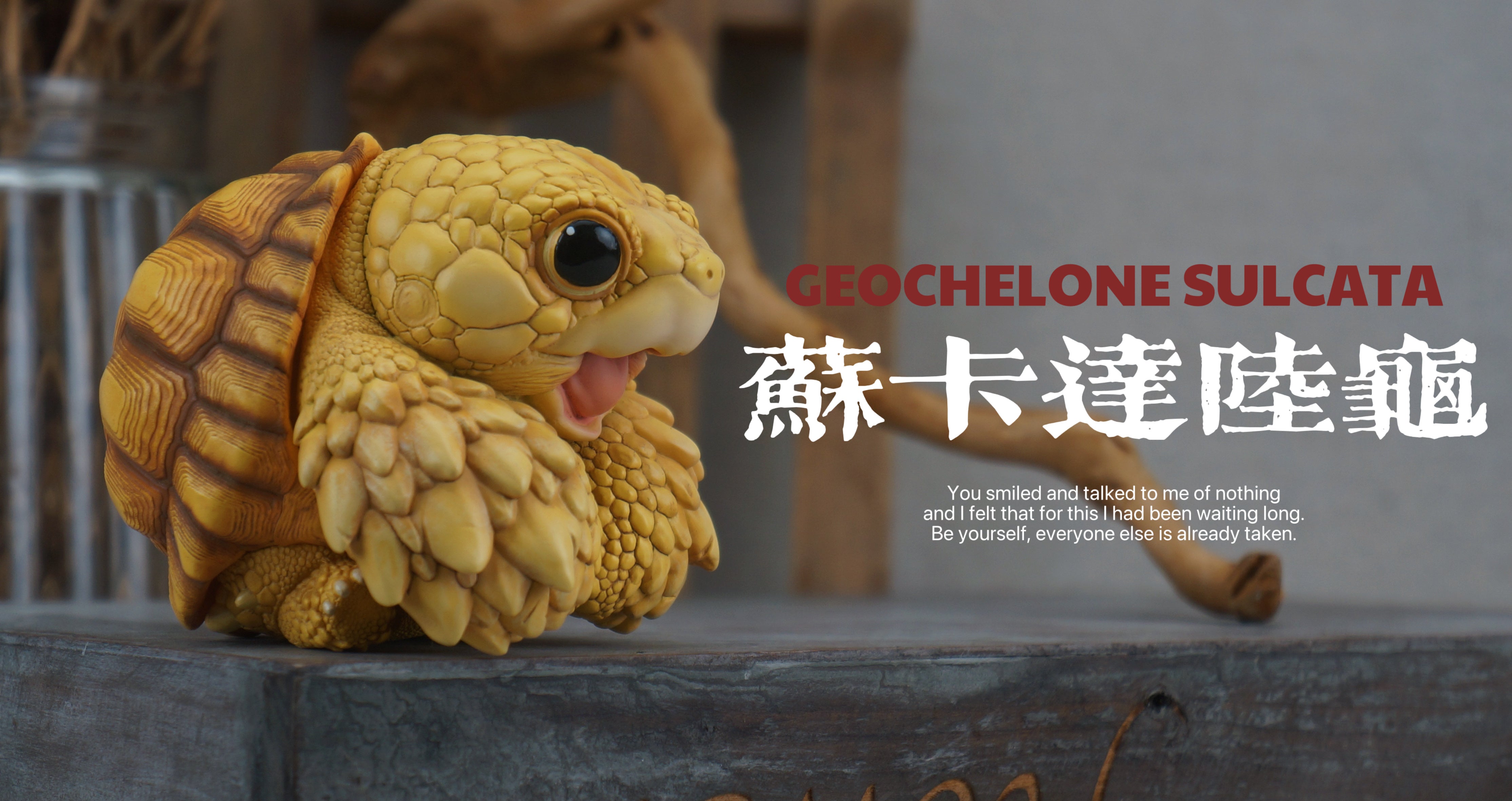 Turtle Model Pet Animal Figure