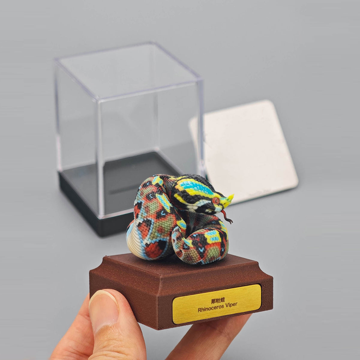 ViVid Studio Rhinoceros Viper & Gaboon Viper Model