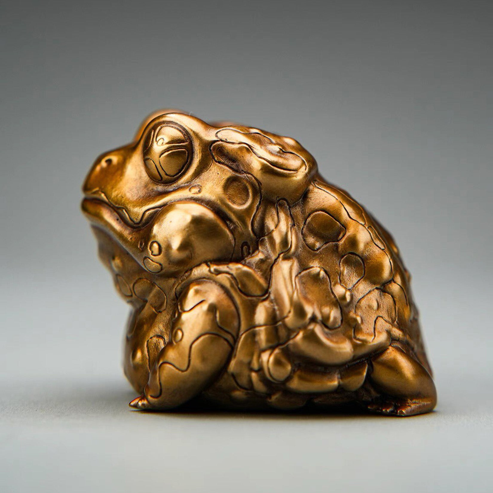 BOWUZHI Studio Toad Model Animal Figure Collector