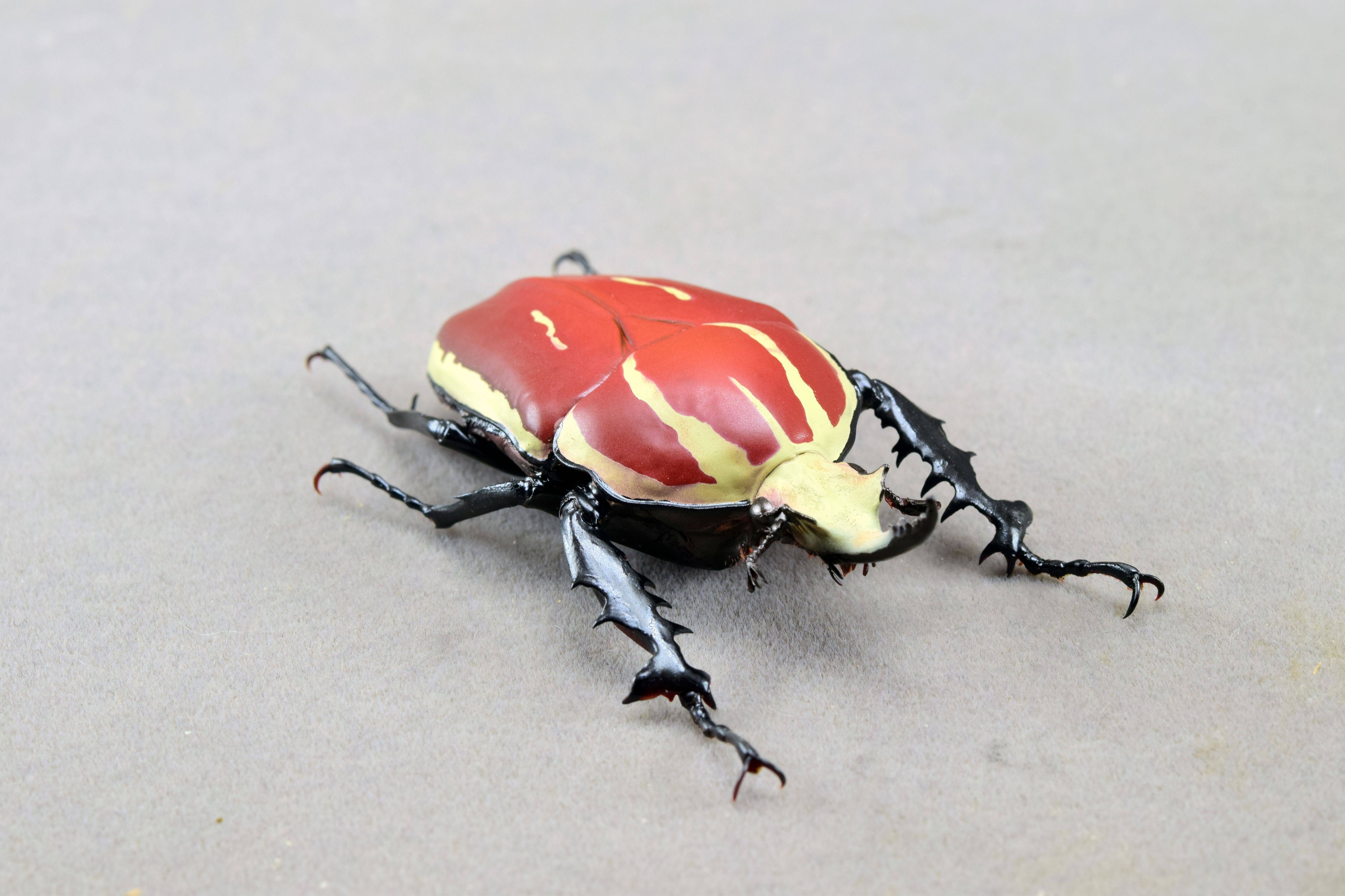 Wunderschöne Chemiepuppe im Maßstab 1:6