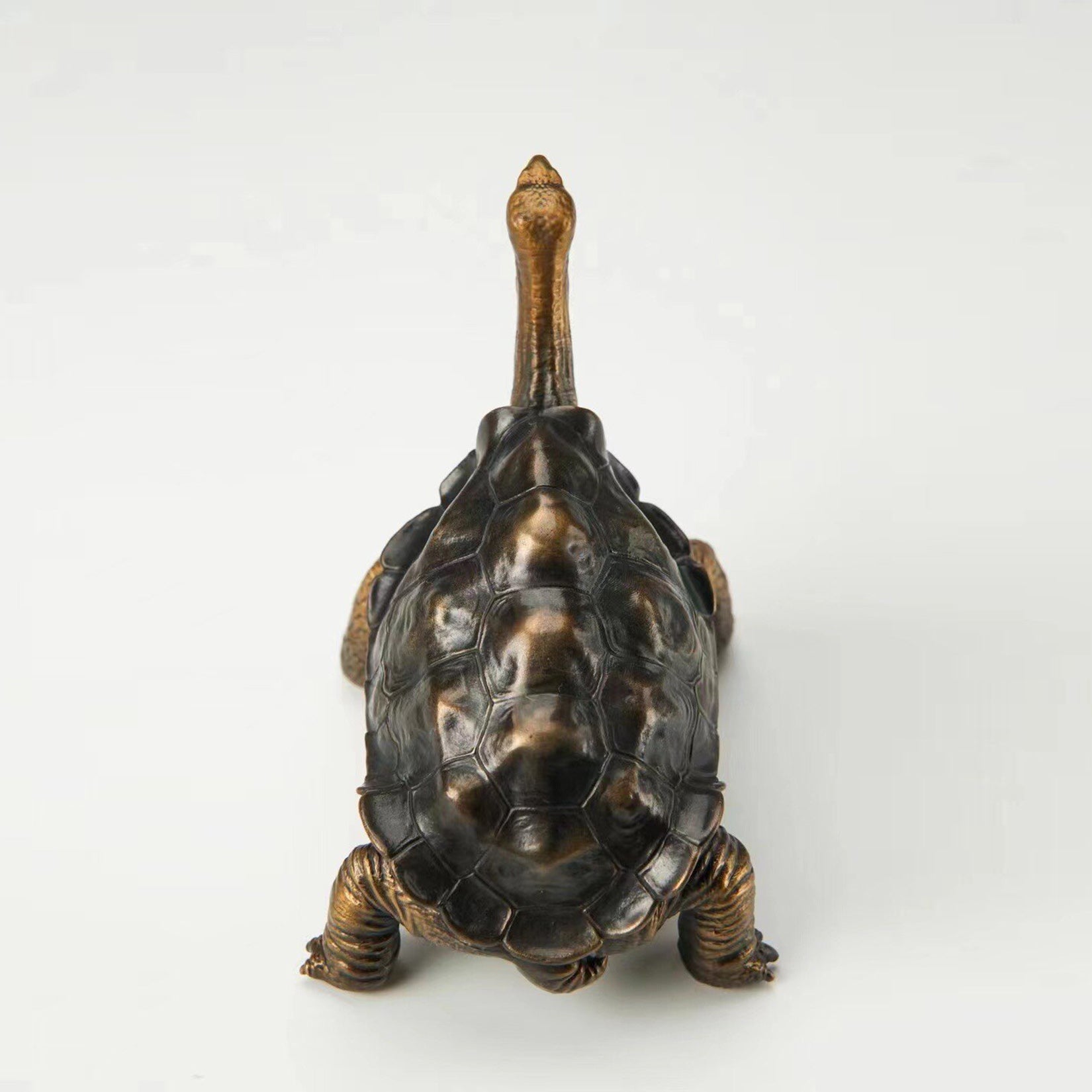 BOWUZHI Studio Galapagos Giant Tortoise Figure
