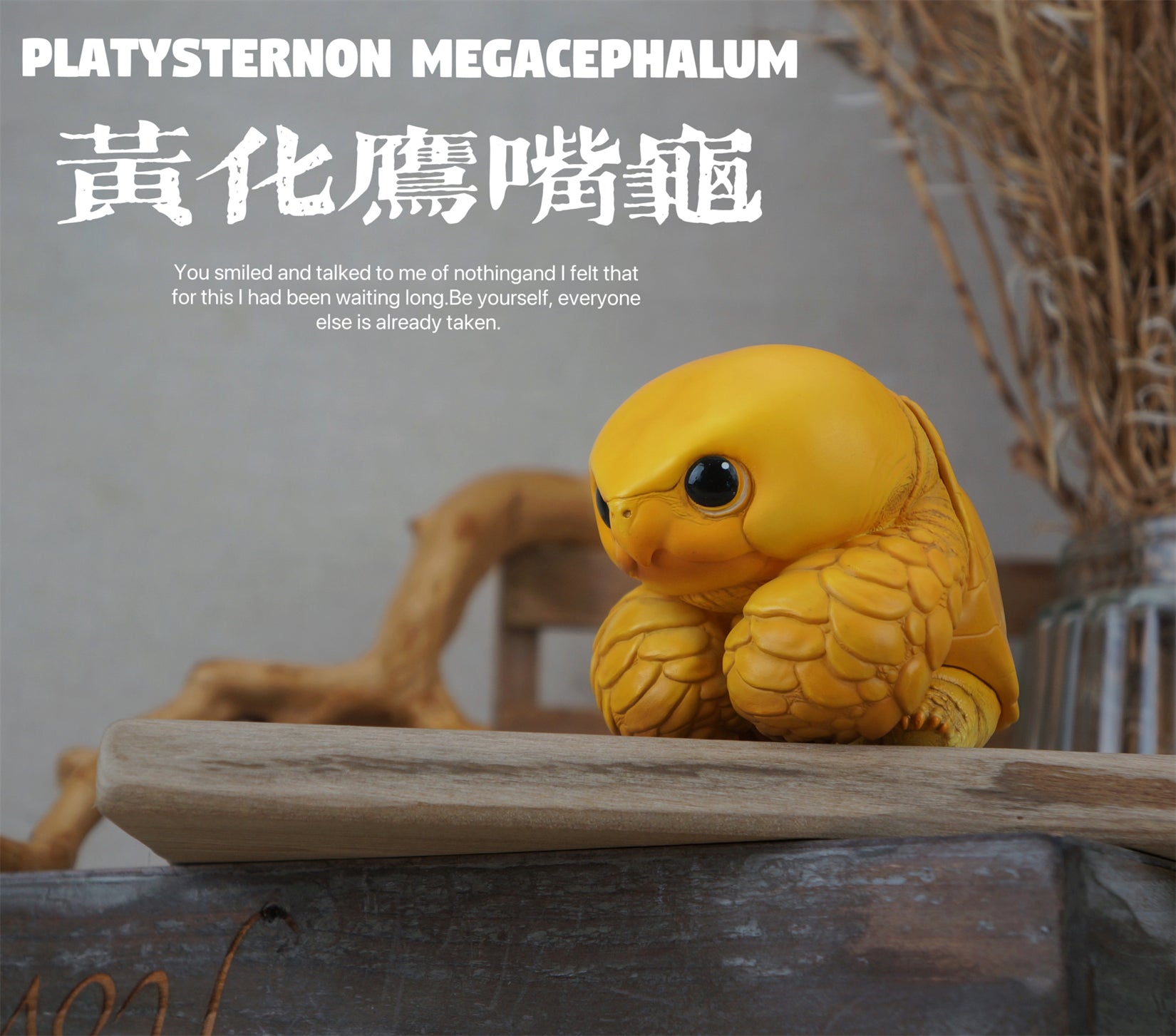 Schildkröten-Serie Tiermodell