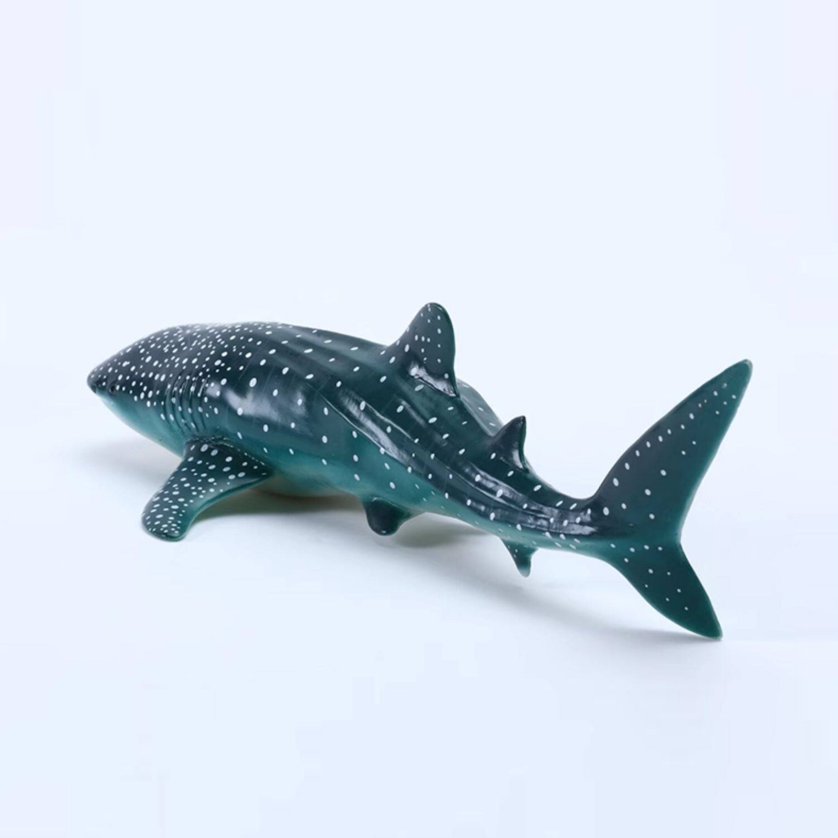 RECUR Whale Shark Model