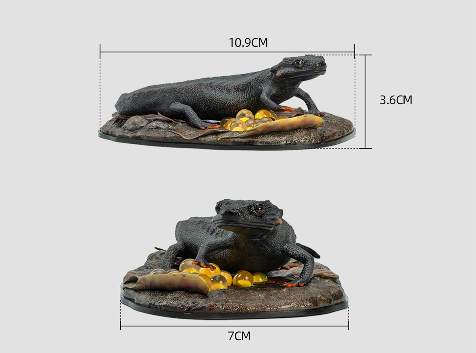 Echinotriton Chinhaiensis Model