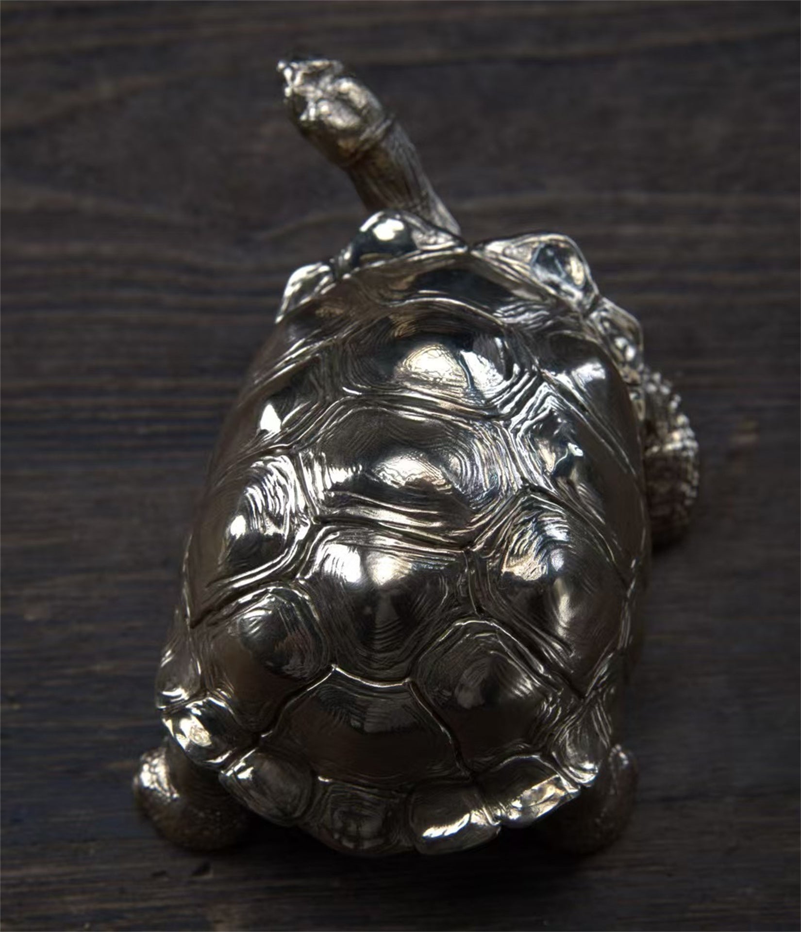 BOWUZHI Studio Chelonoidis Niger Model