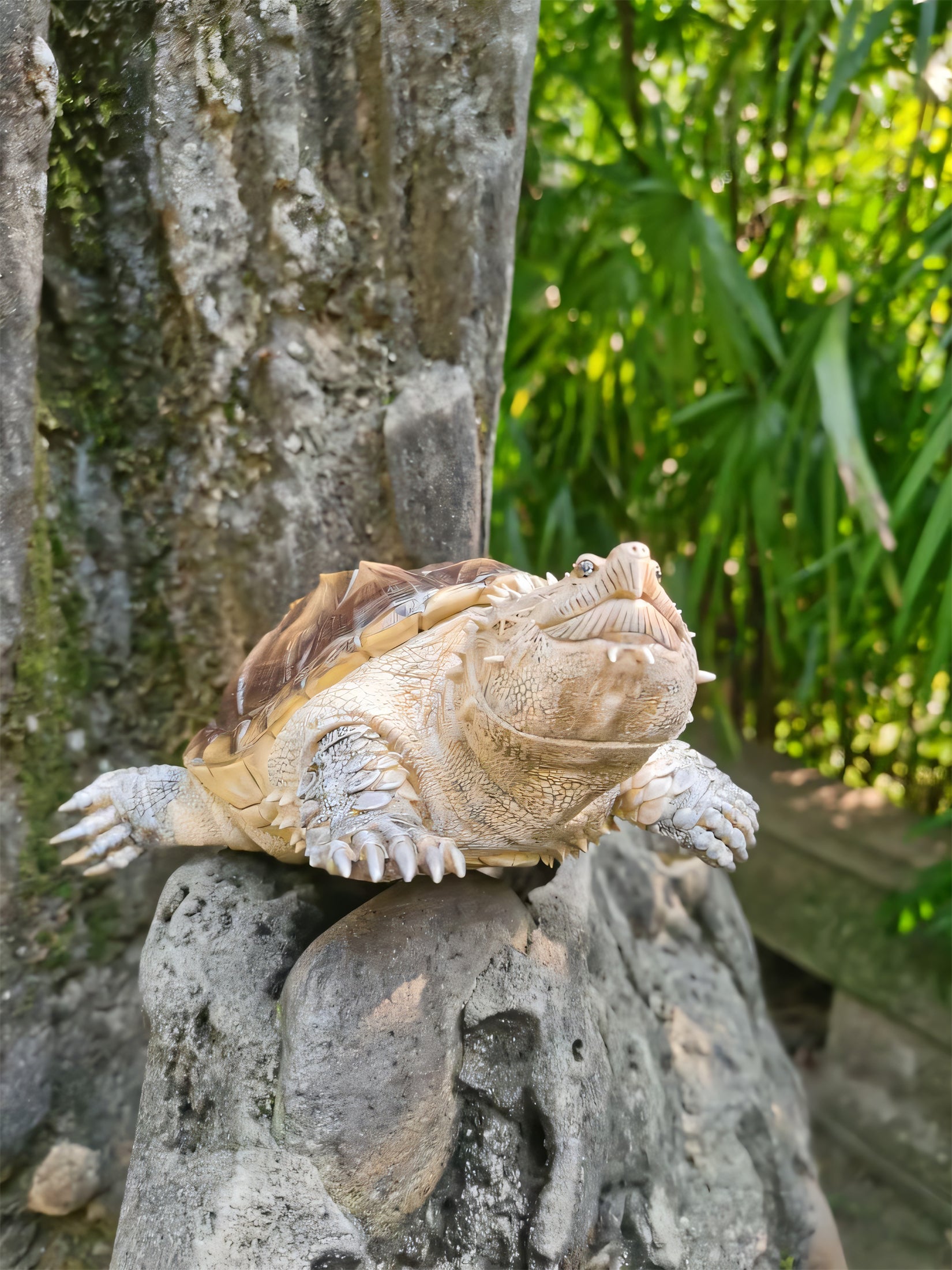 Schildkröten-Serie Tiermodell